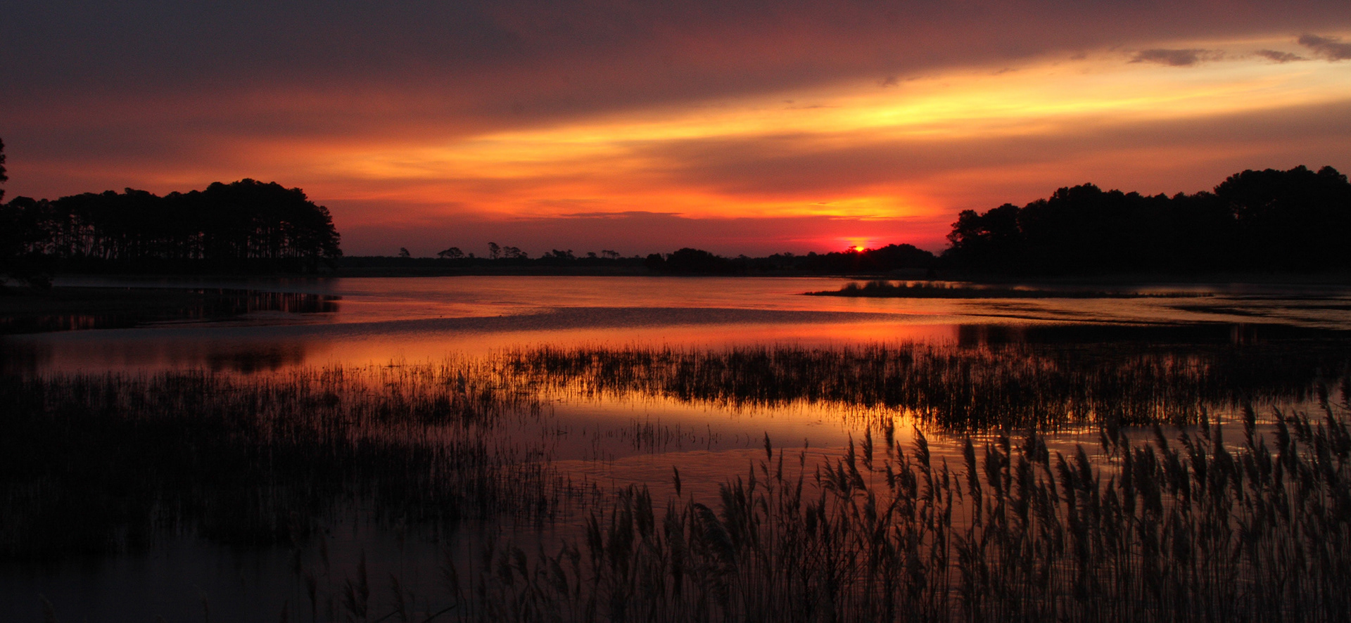 Sunrise Serenade