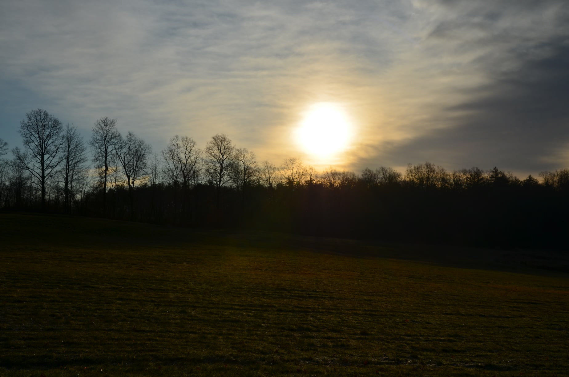 A field on Route 156