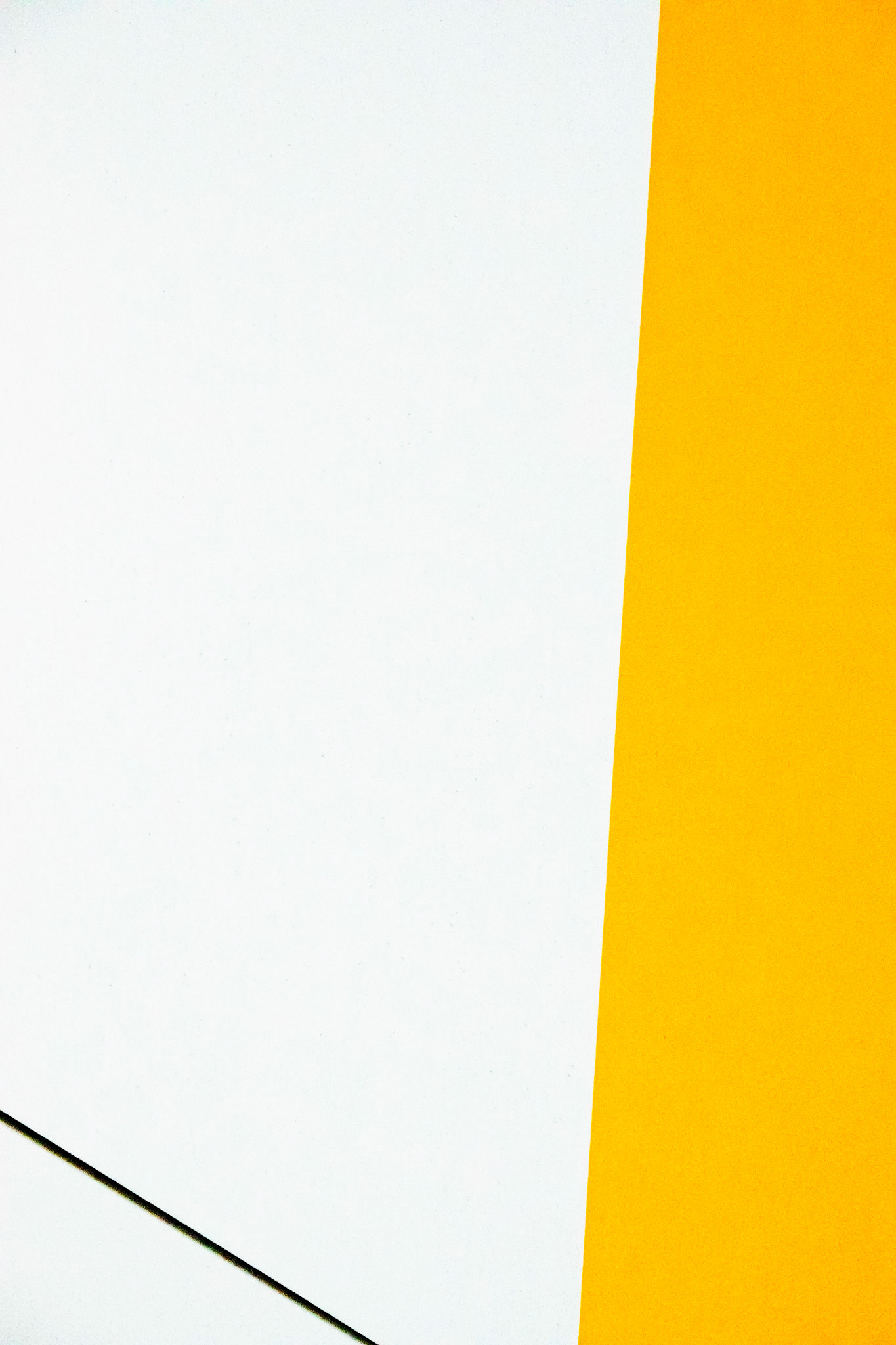 Composition Jaune et Blanche