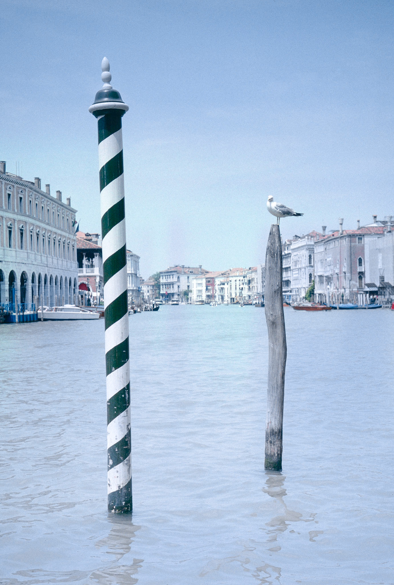 Venise 1999