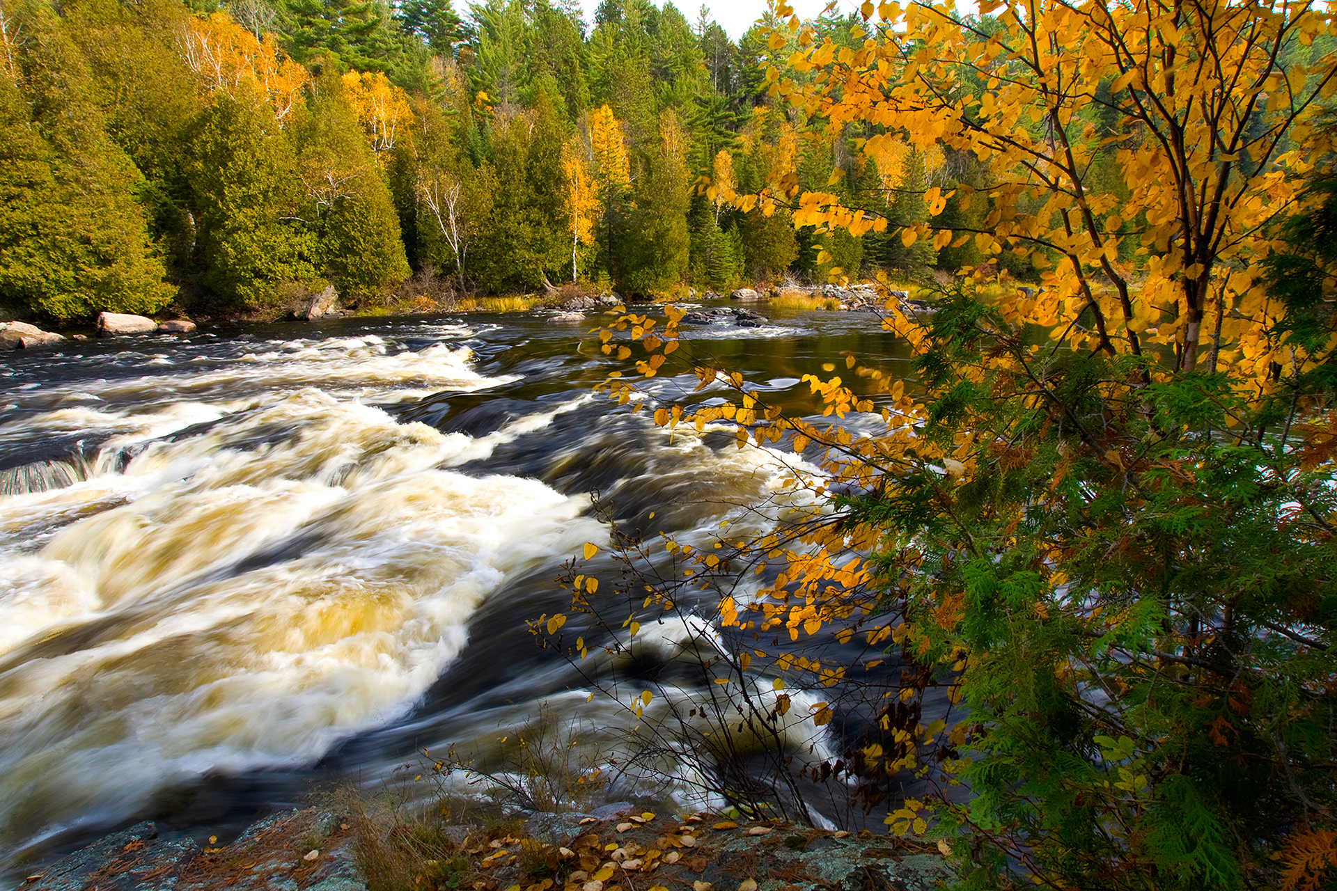 Chris Lepard Spanish River, Ontario