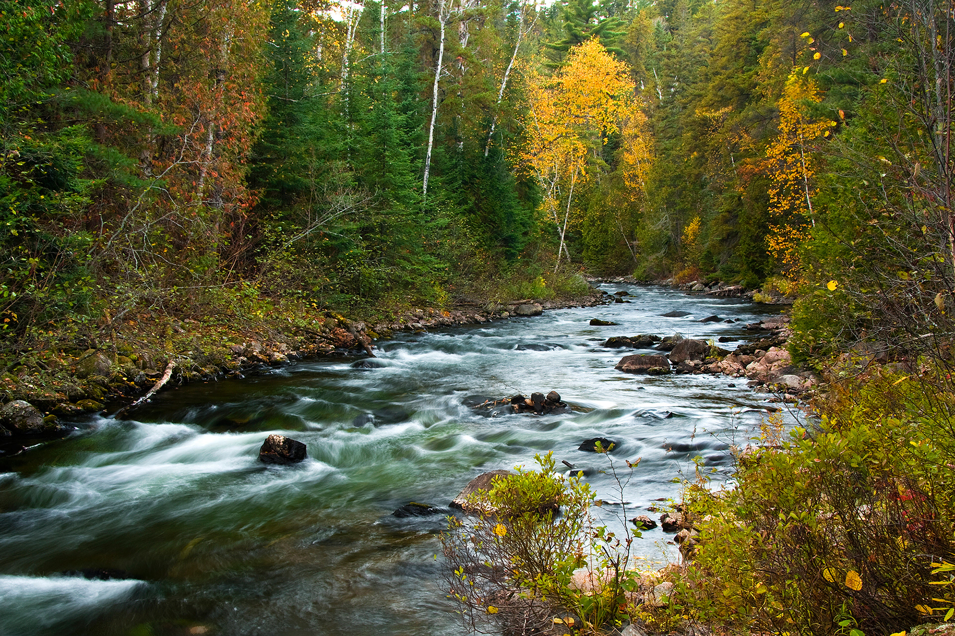 Chris Lepard - Spanish River, Ontario