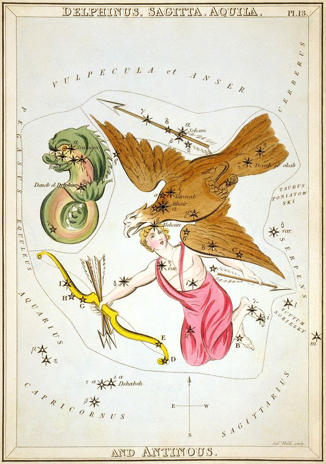 Gwiazdozbiór Orła (łac. Aquila — orzeł, ar. Altair — lecący). Rycina z atlasu Urania’s Mirror, 1925.