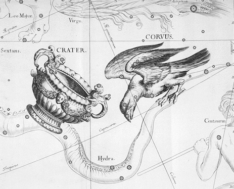 Gwiazdozbiór Kruka (łac. Corvus — kruk), Firmamentum Sobiescianum sive Uranographia, Jan Heweliusz, 1641.