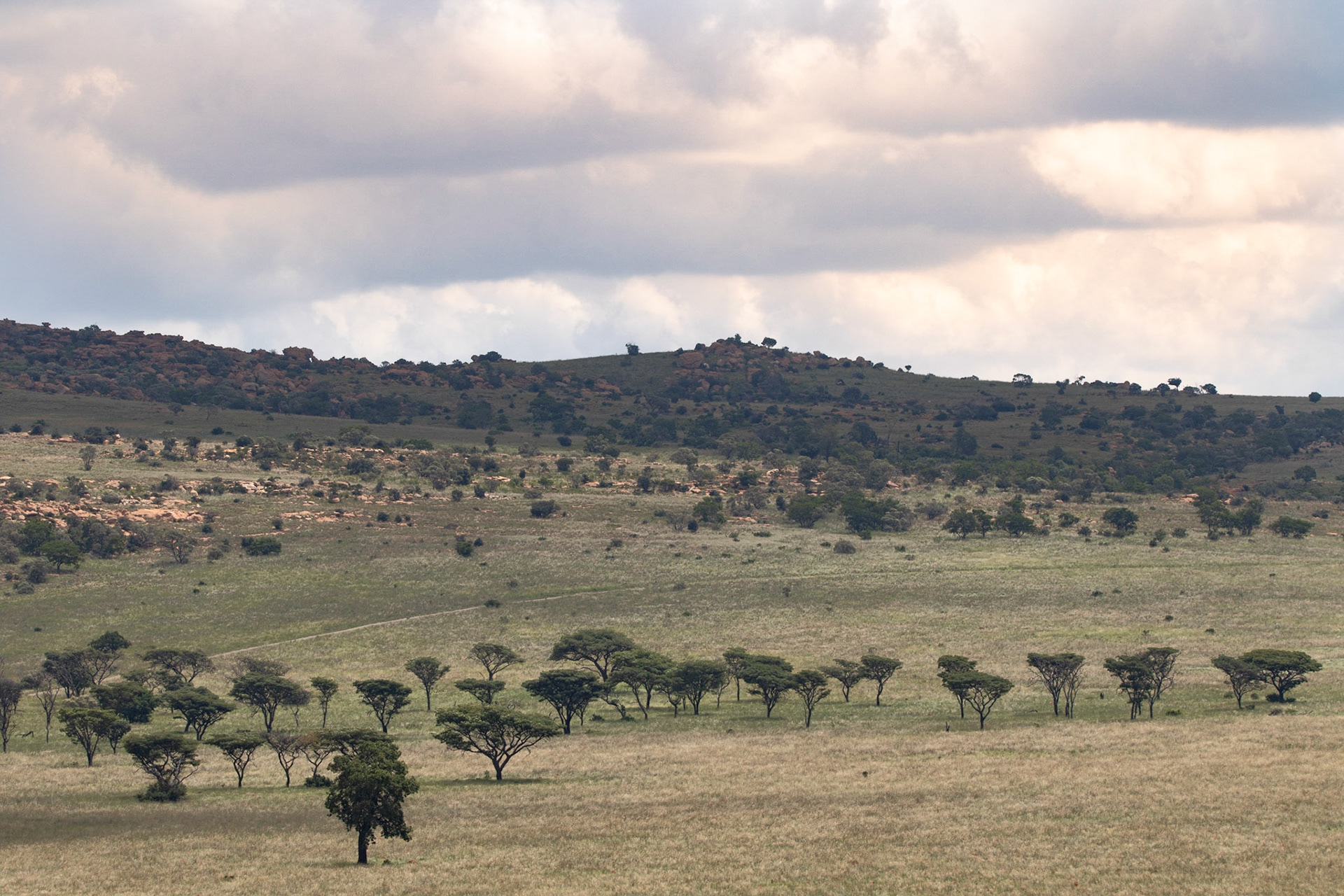 Afrique du Sud