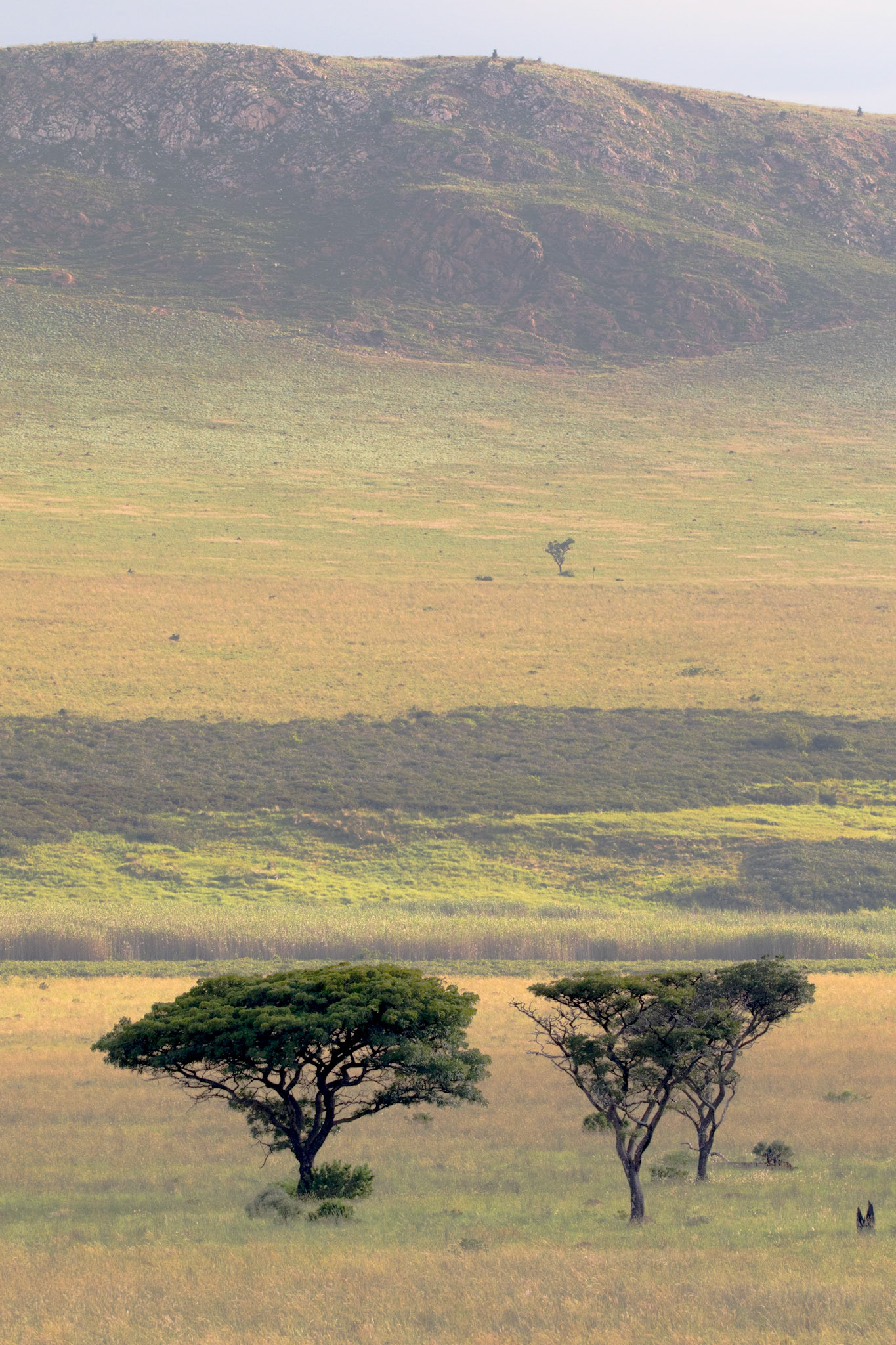 Afrique du Sud