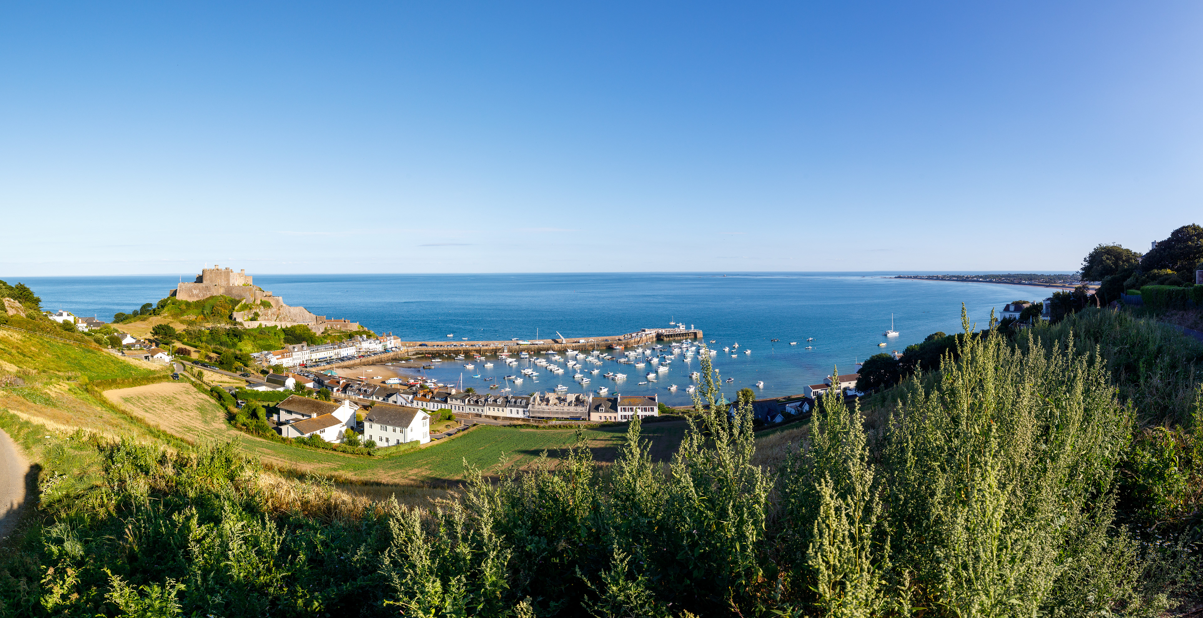 Gorey