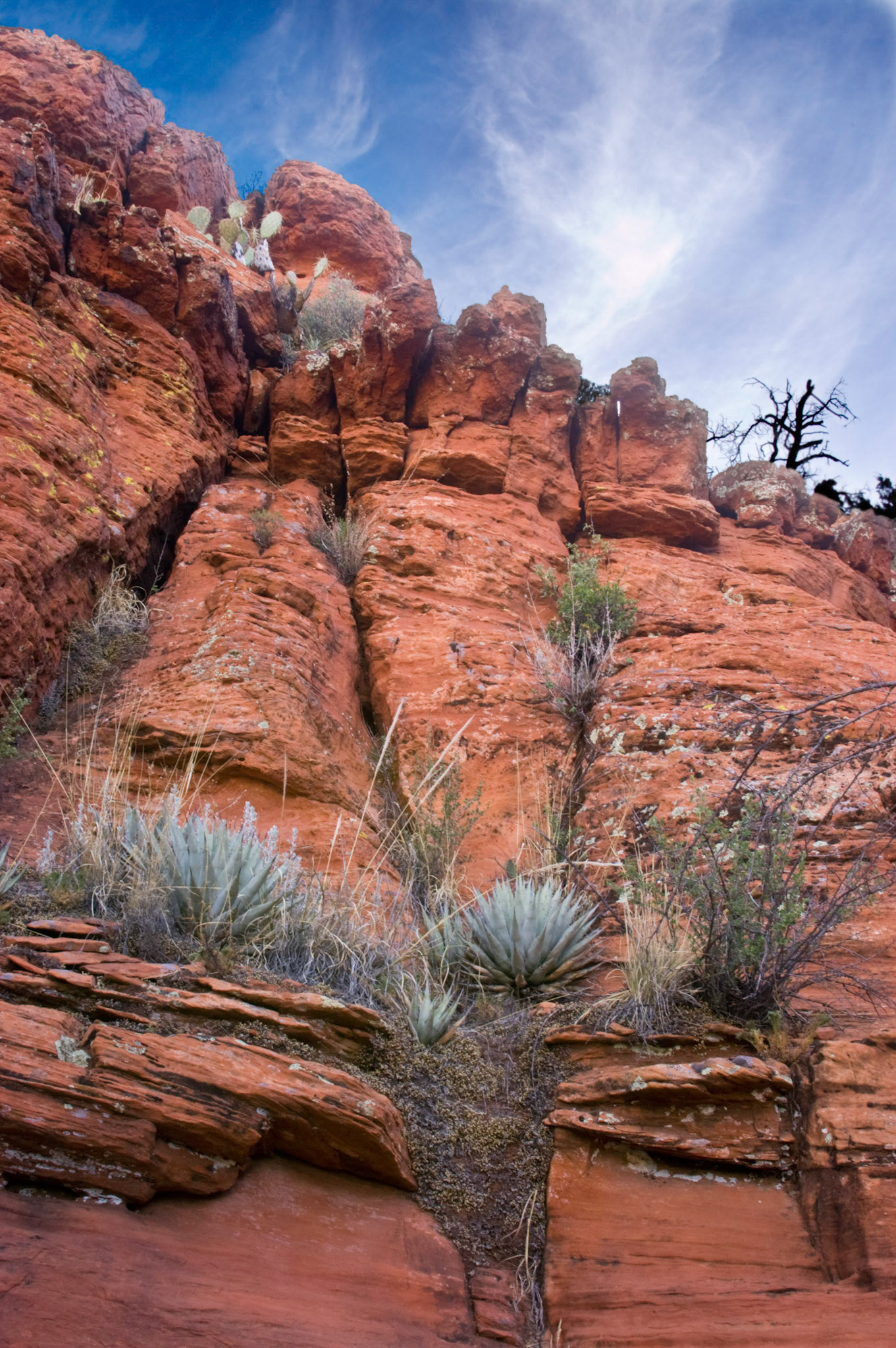 The view from the top of Doe Mountain in Sedona Arizona.