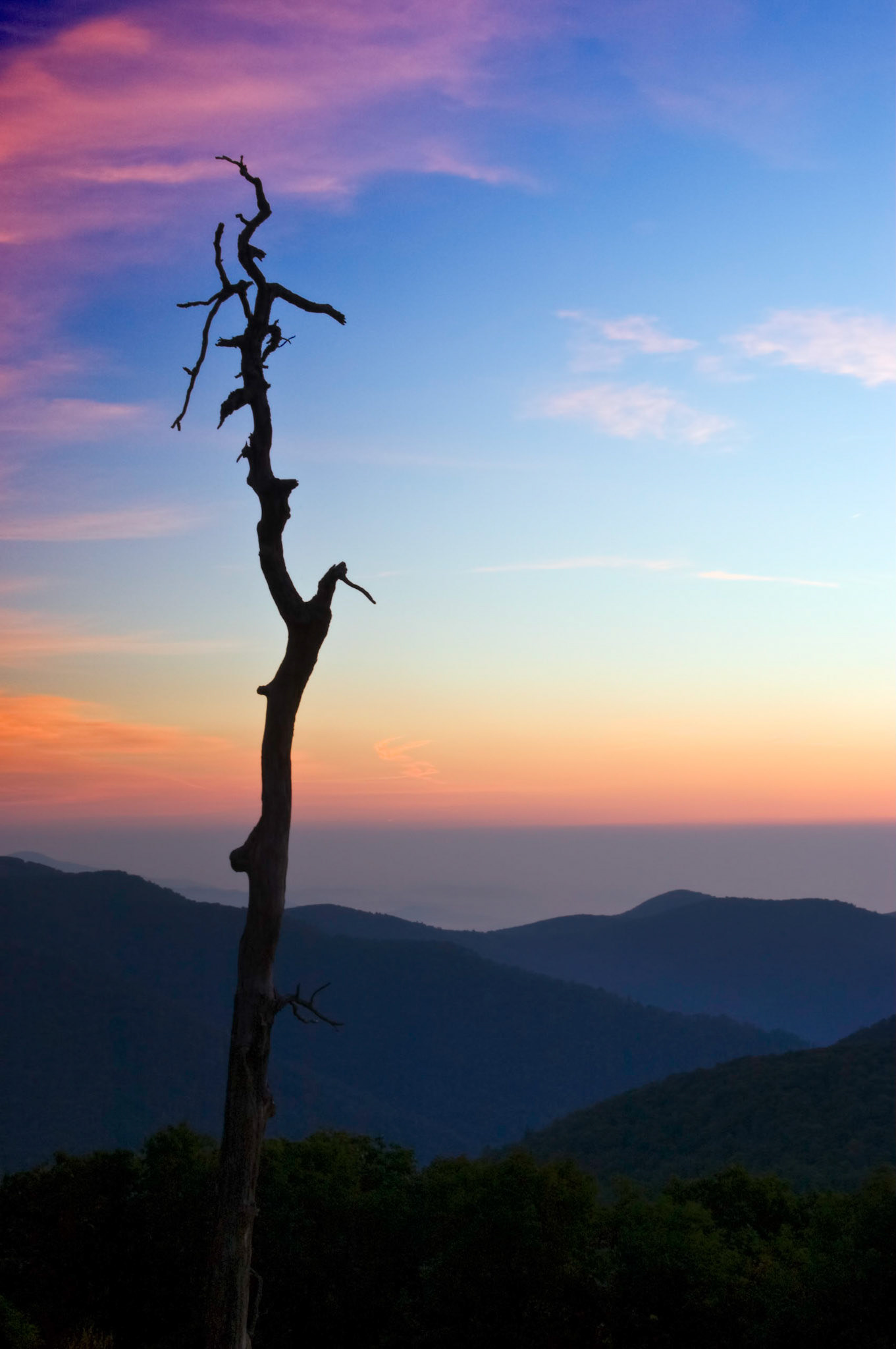 Sunrise from Thorofare Mountain Overlook at the Shenandoah National Park in Virginia.