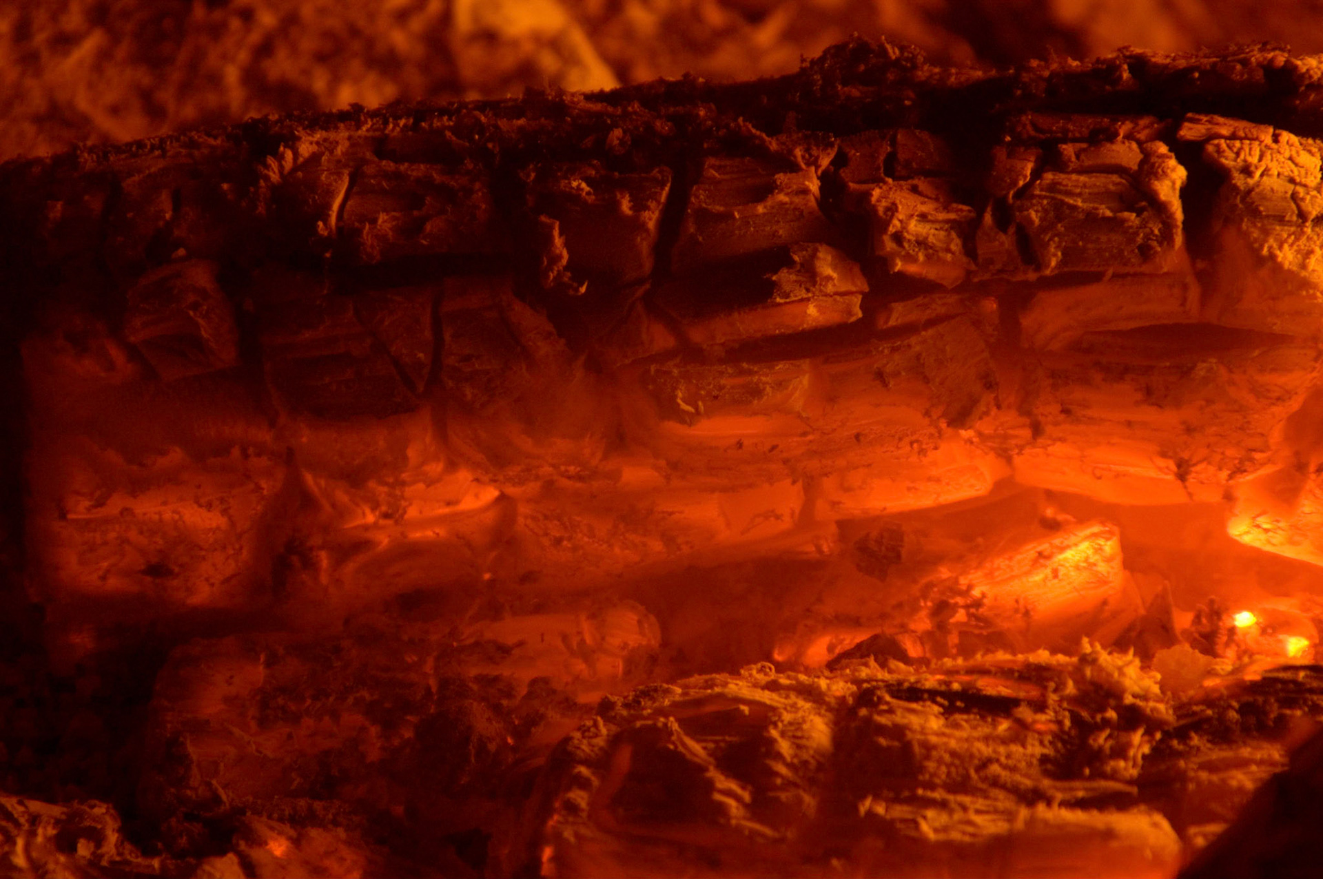 Close up on some burning logs in a campfire.