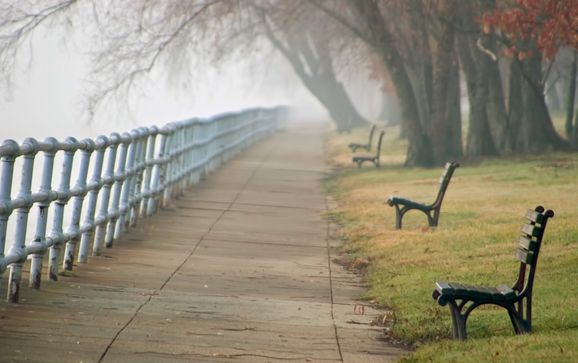 Park benches on a foggy morning along East Potomac Park near Hain's Point.