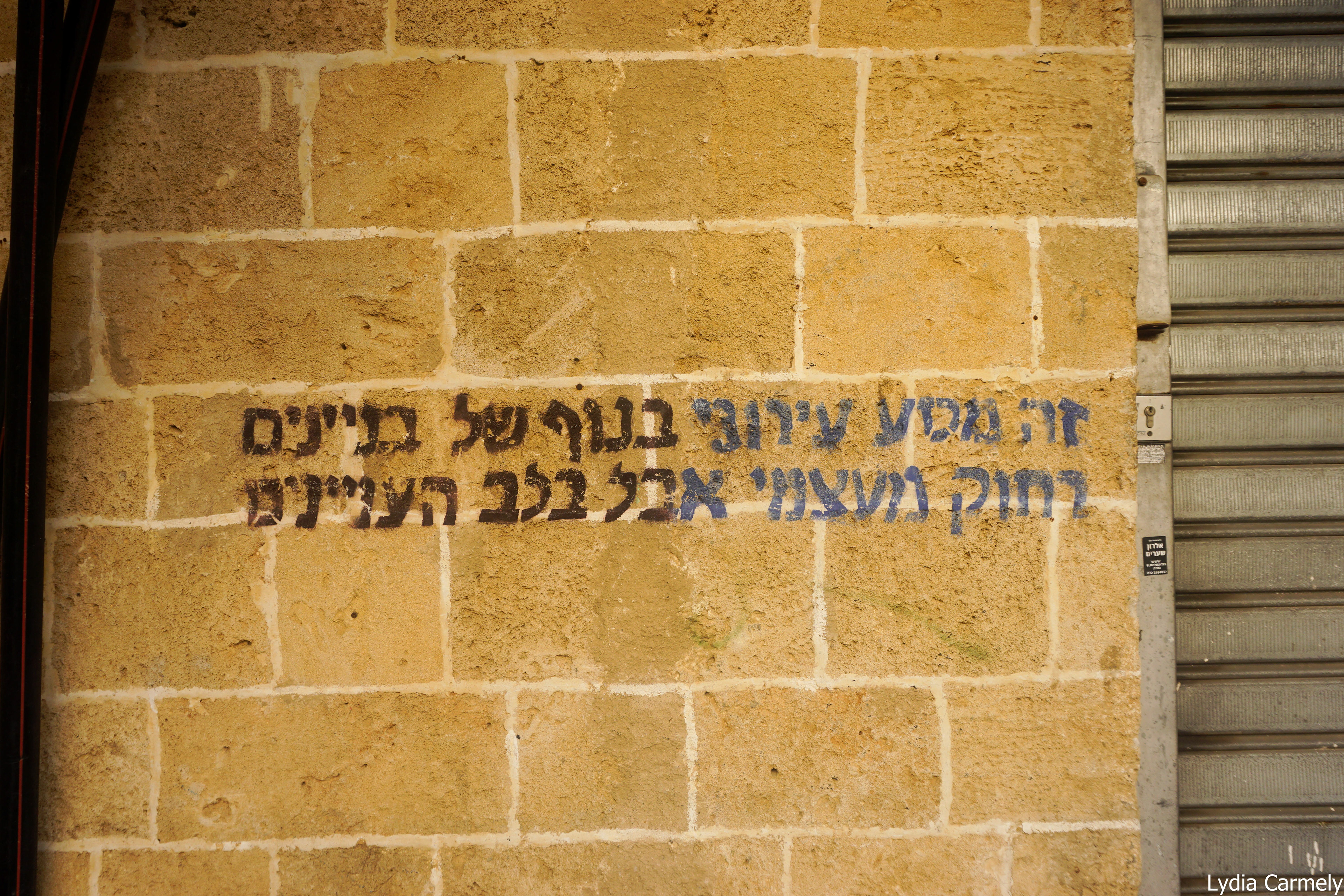 לידיה כרמלי