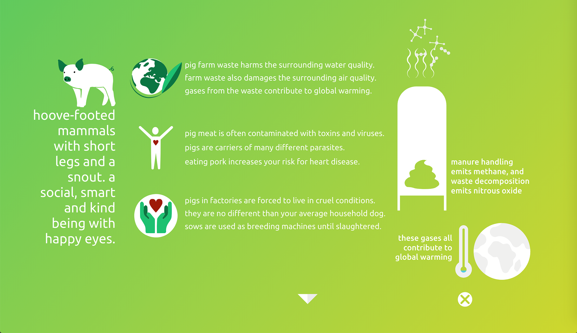 Snippets from the page on pigs. Every line of information on the page leads to an infographic that further explains the effects of consuming products from pigs.