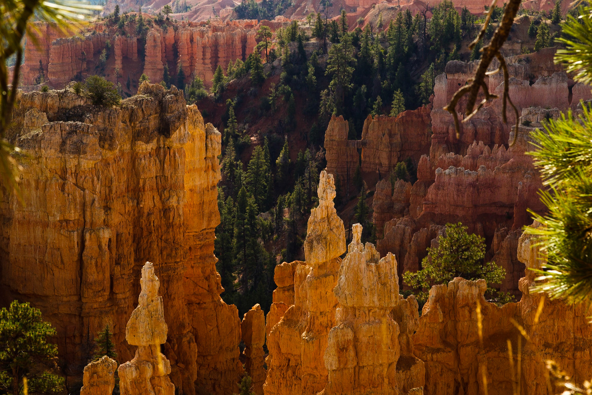 Bryce NP Utah