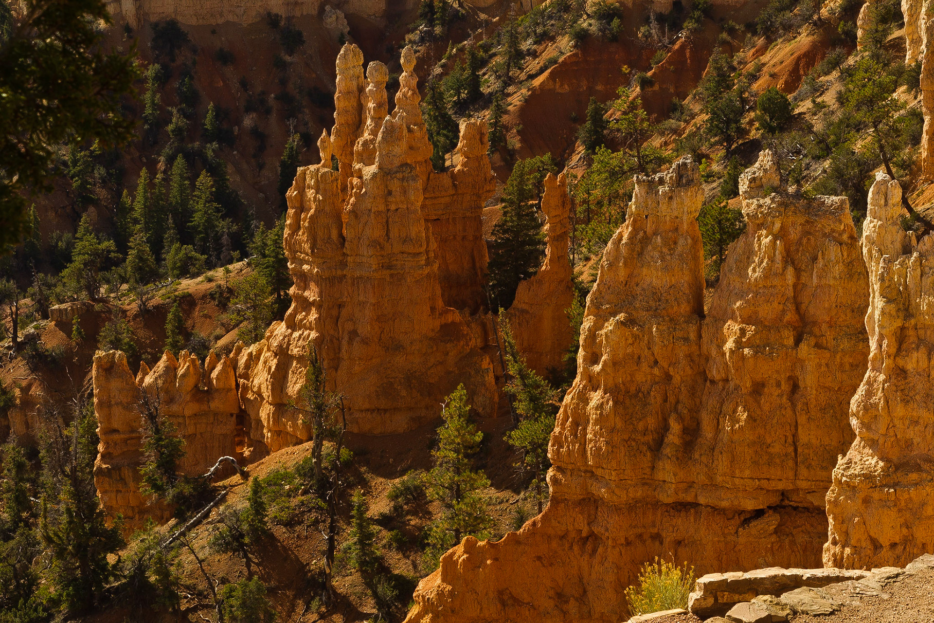 Bryce NP Utah