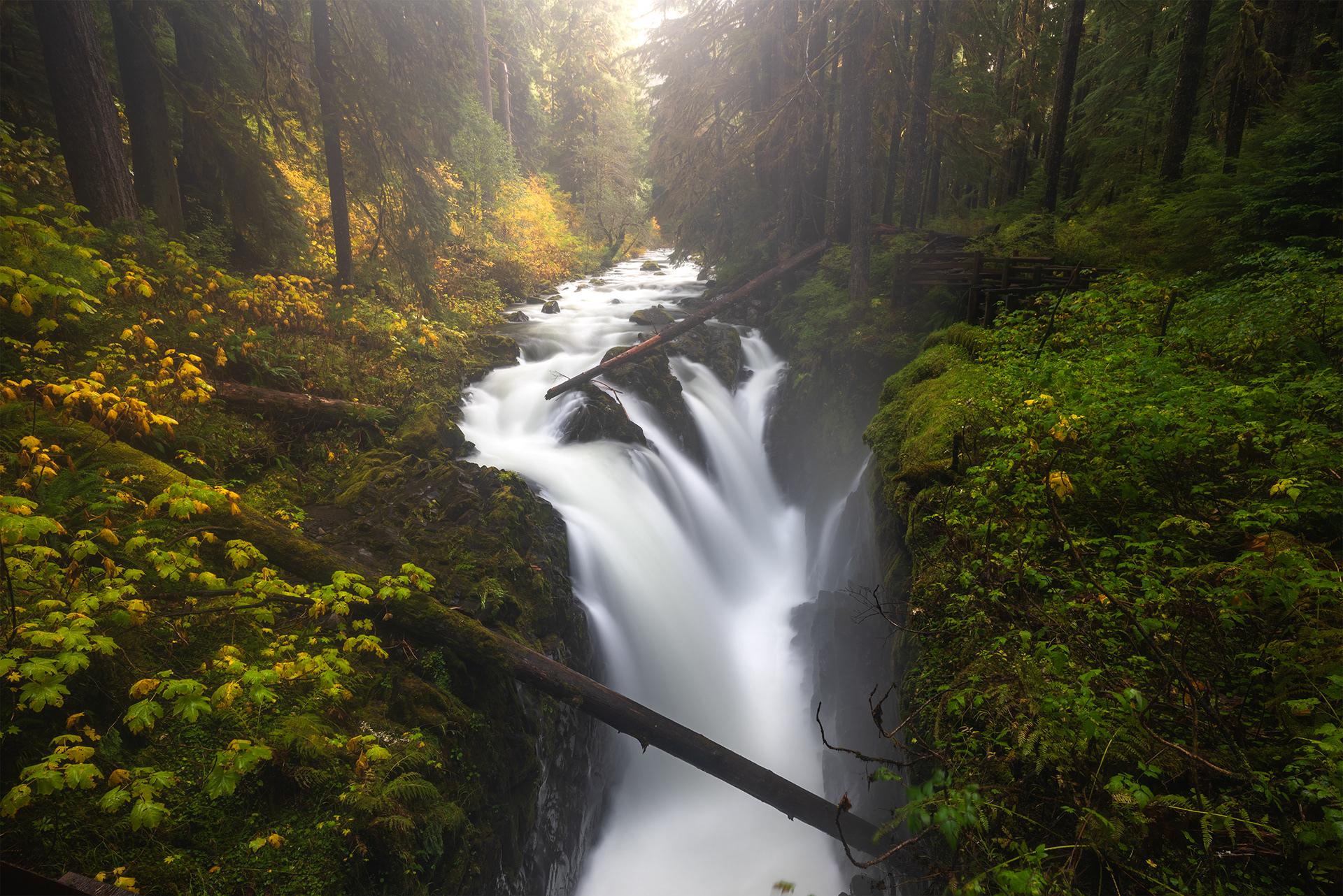 Sol Duc Falls