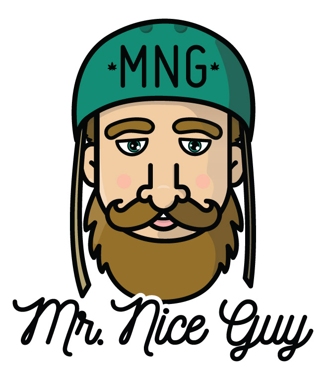 mr nice guy logo