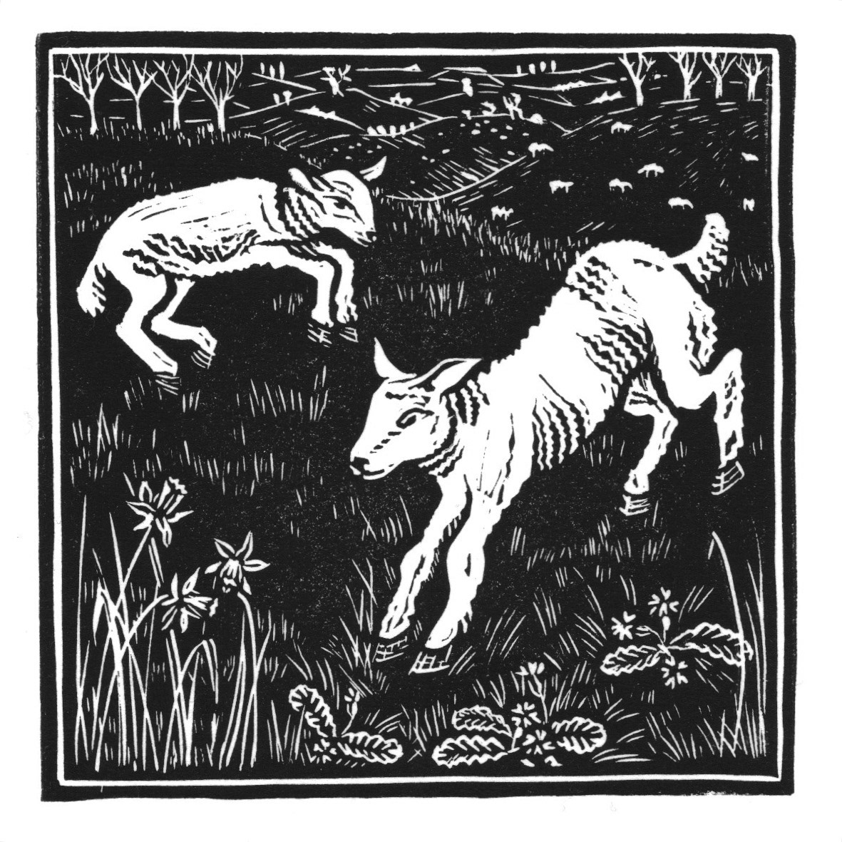 Sarah price a short history of the world according to sheep