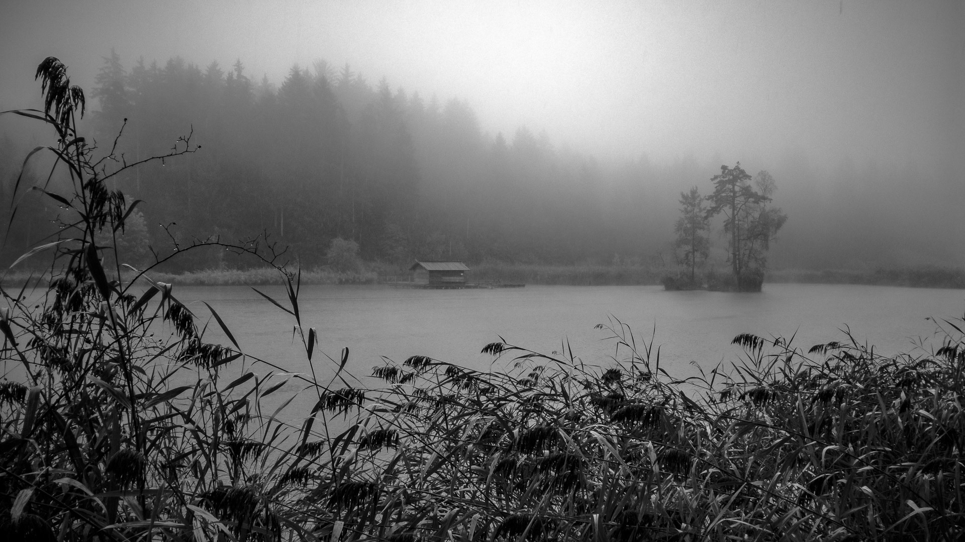 South Tyrol: "Völser Weiher" in fog and rain.