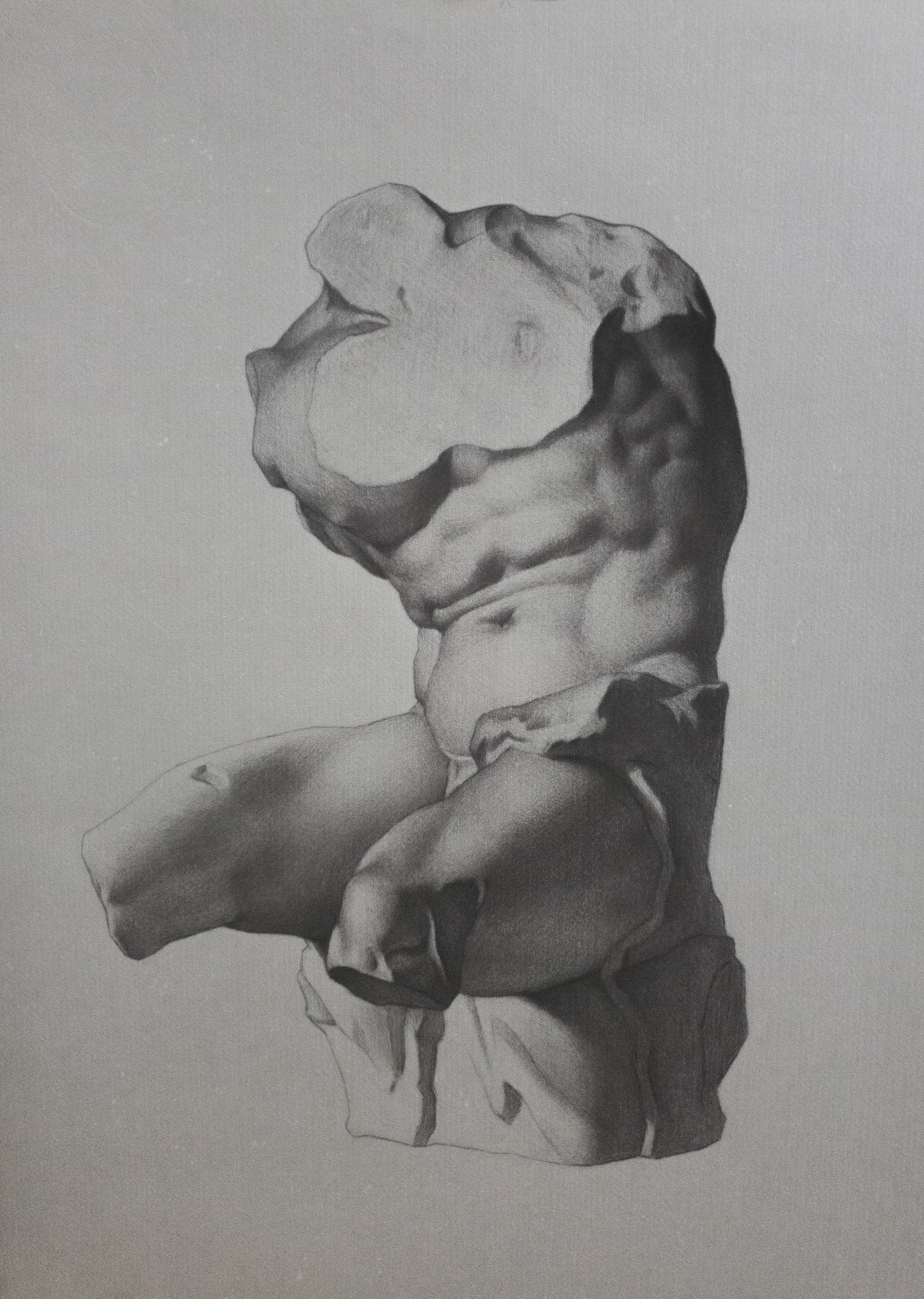 Charcoal Bargue Drawing of Belvedere Torso - 24x36" - $225
