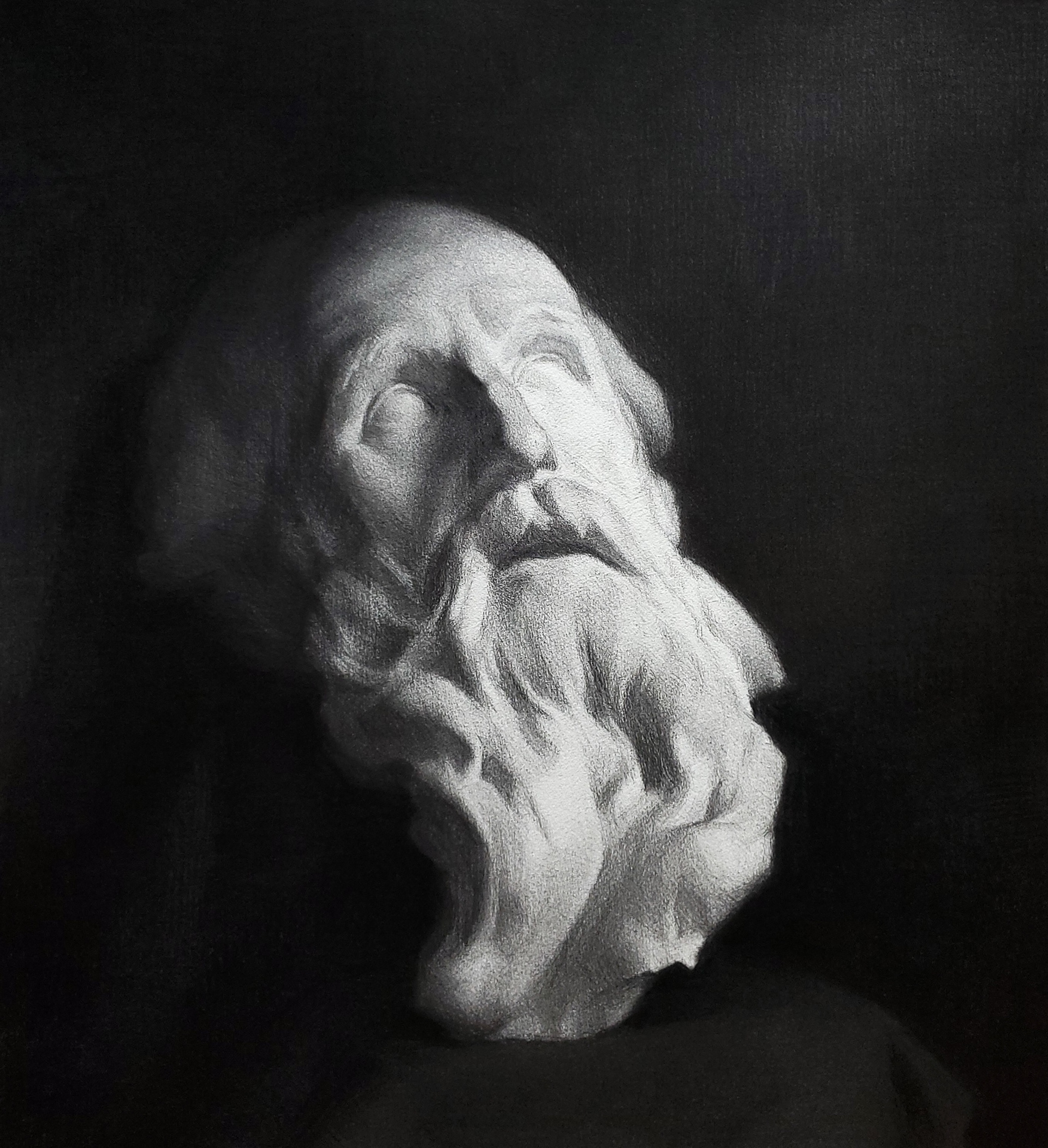 Charcoal on White Paper - 17.5x19" - $225