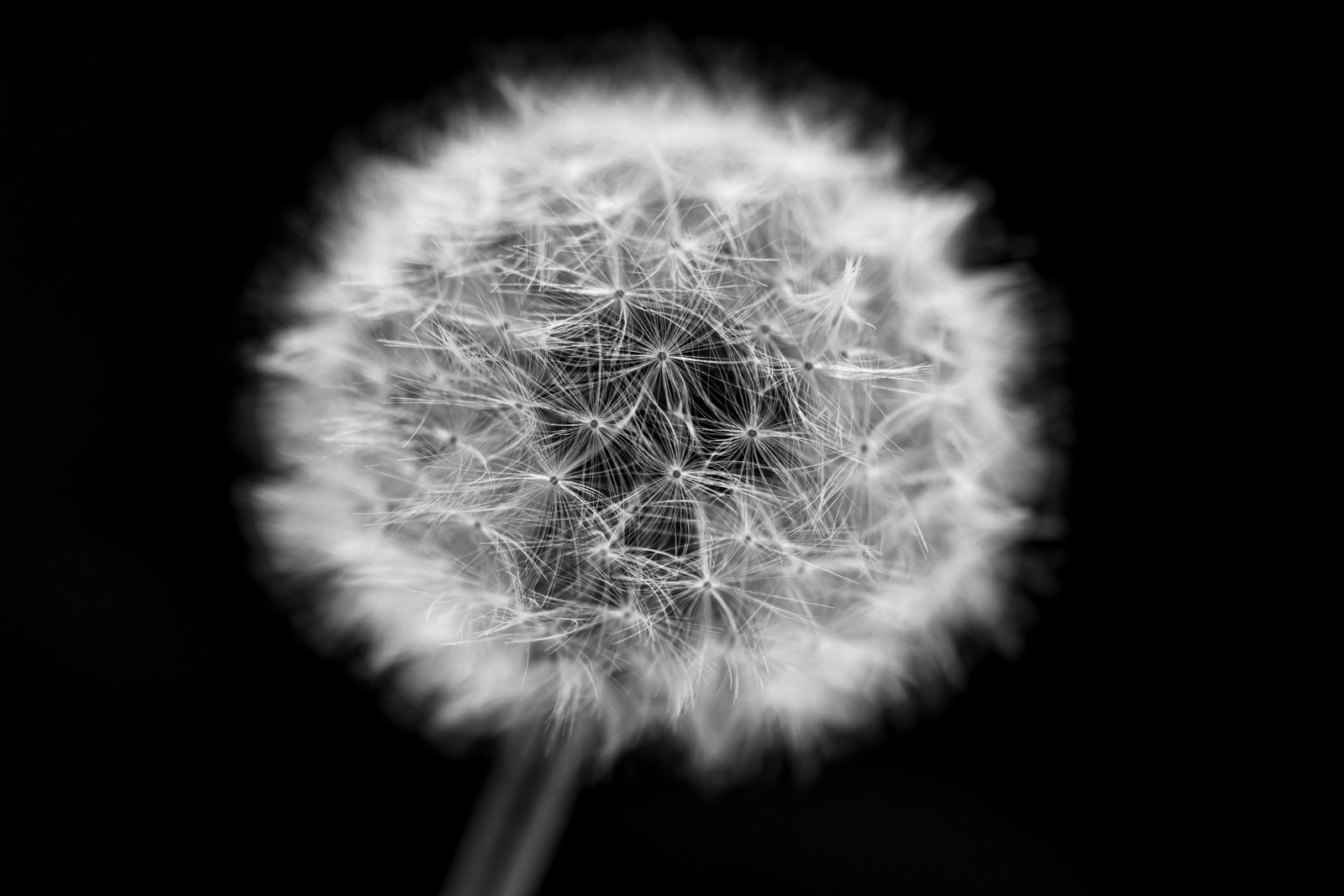 Macro
