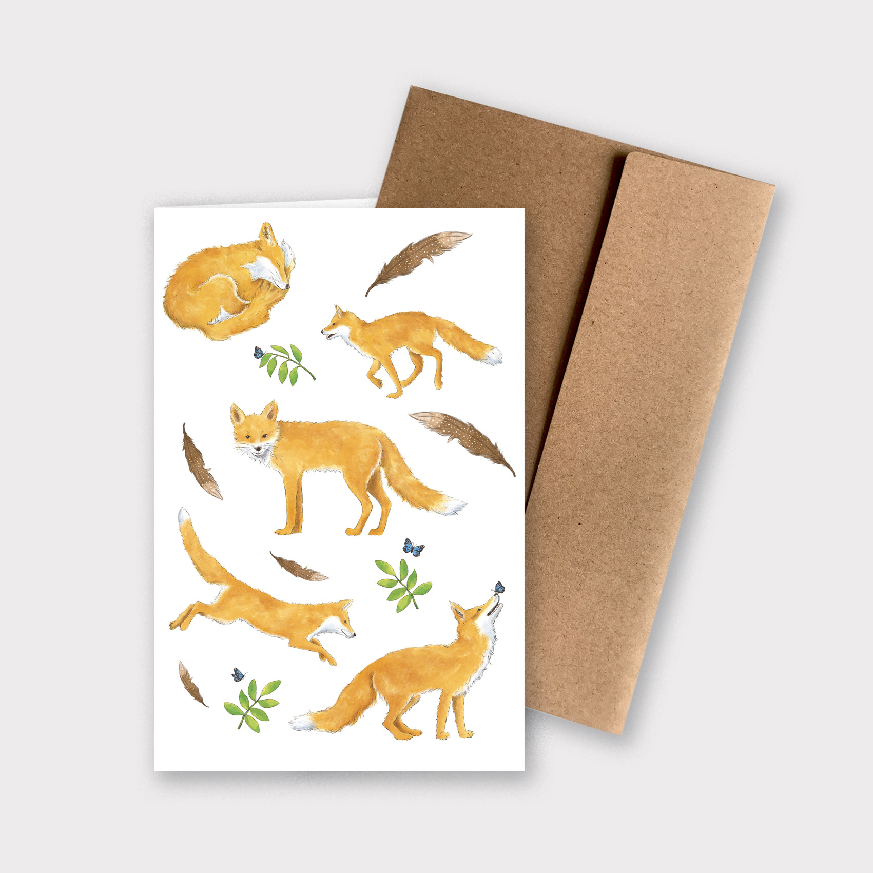 Foxes on white