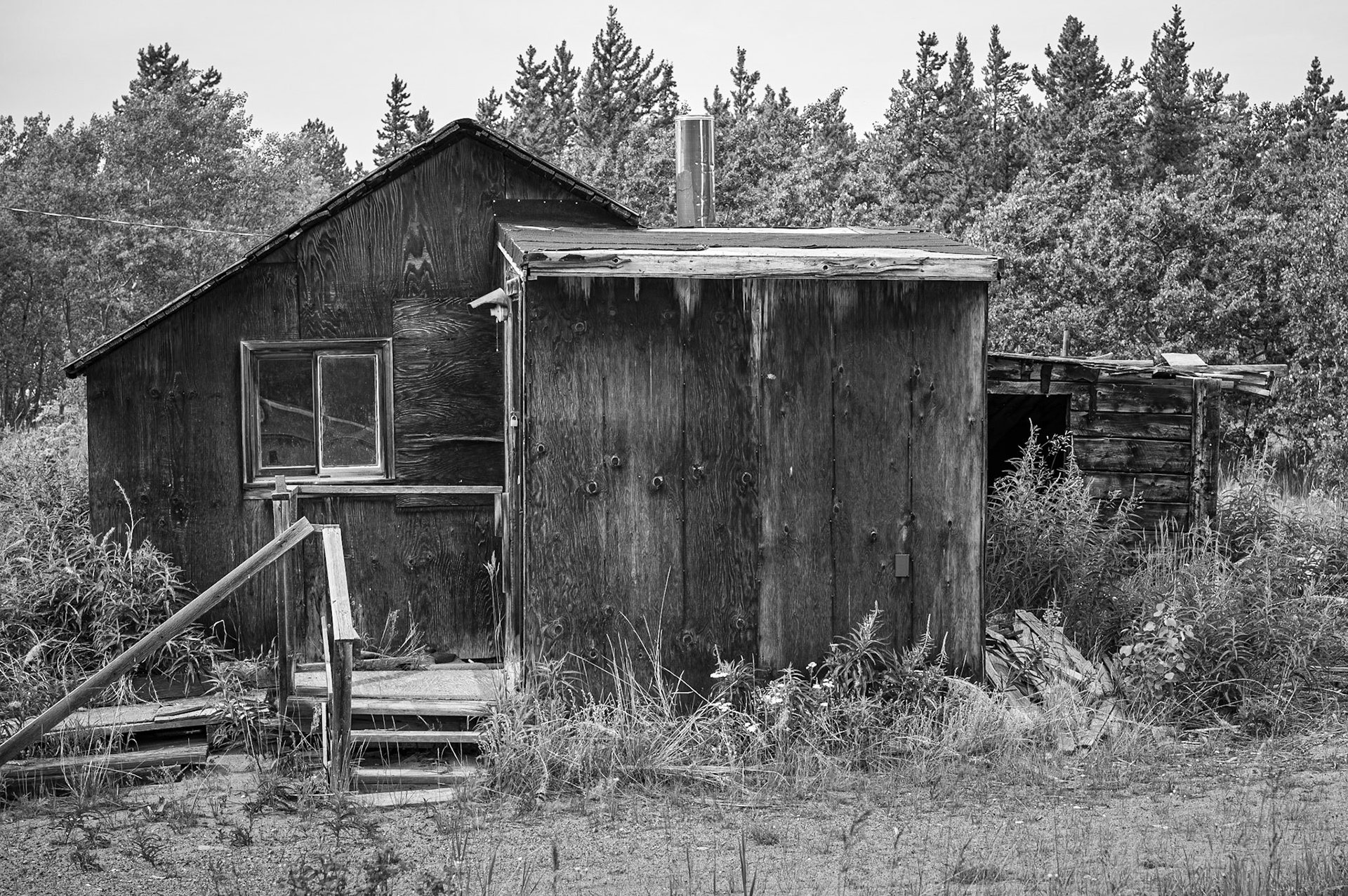 Shack. Carcross, Yukon