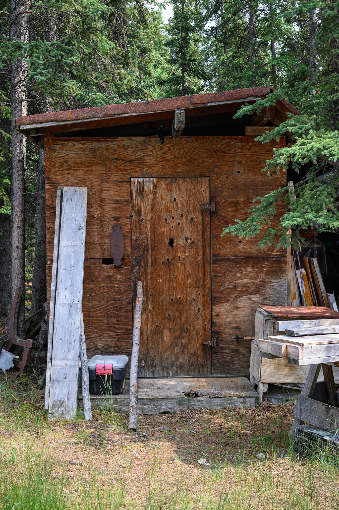 Shed. Carcross, Yukon.
