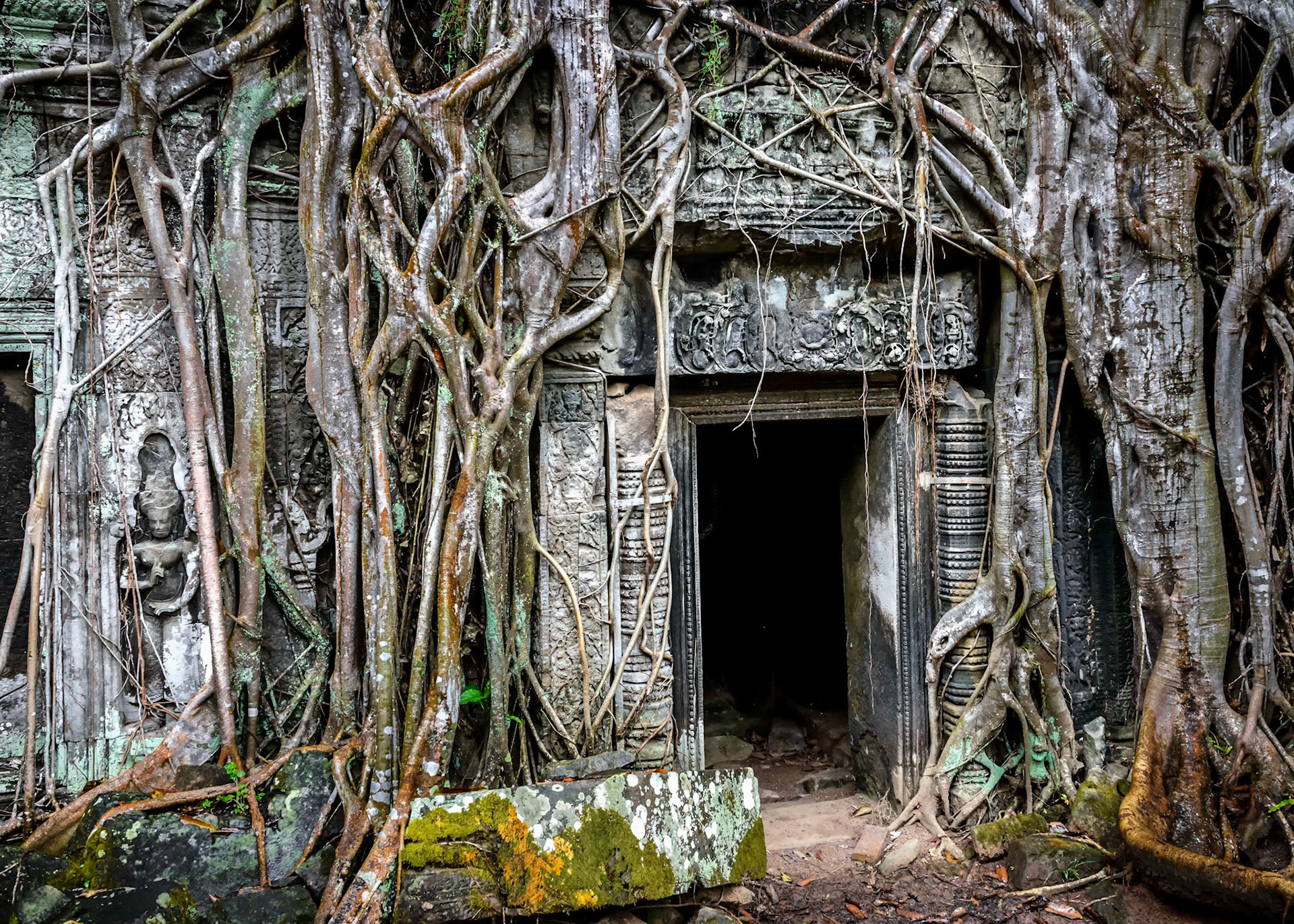 Ta Prohm- Kamboja