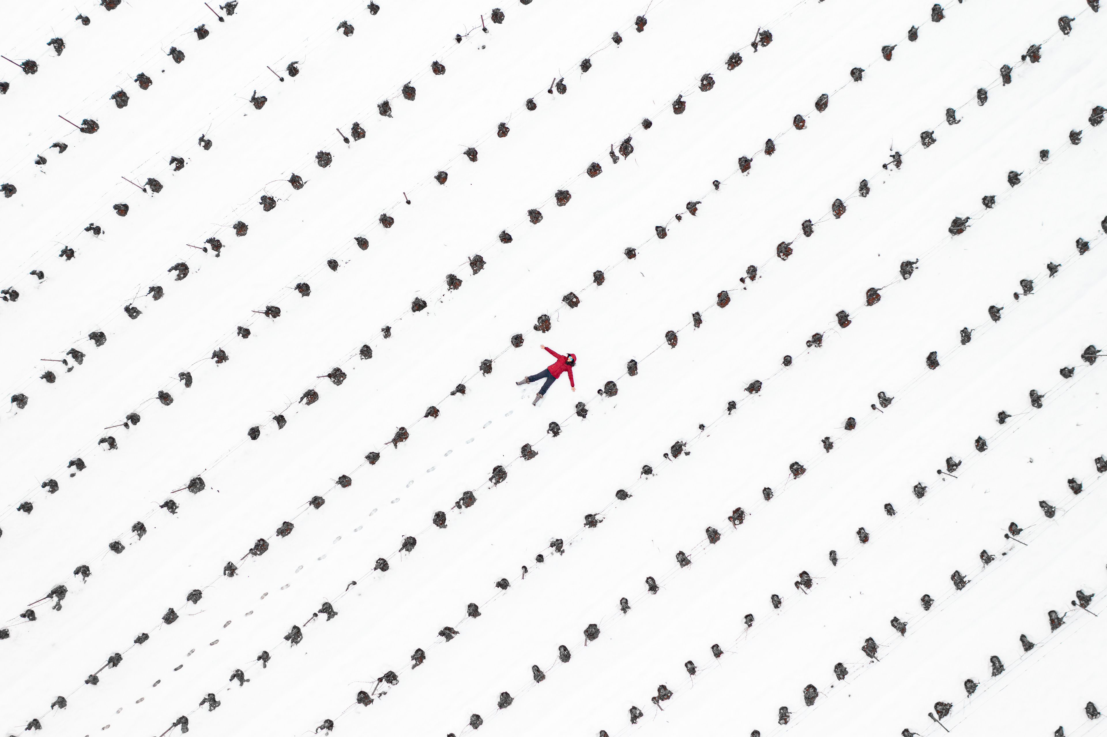 Between the Dots 2/3 ©Rights Reserved