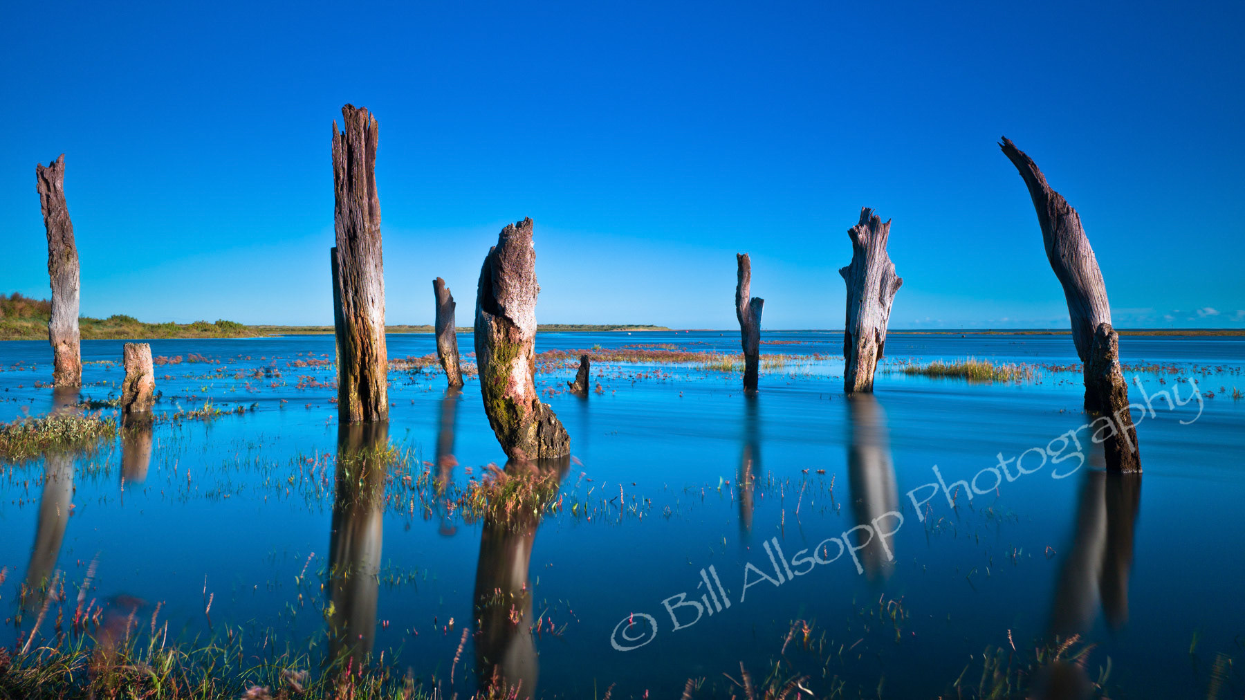 Thornham stumps on the North Norfolk coast during a high tide.