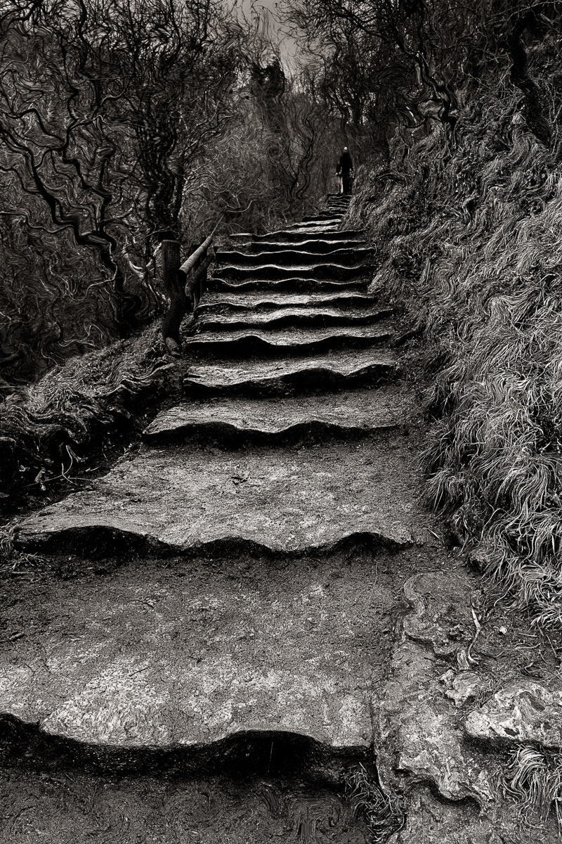 Tanglewood steps