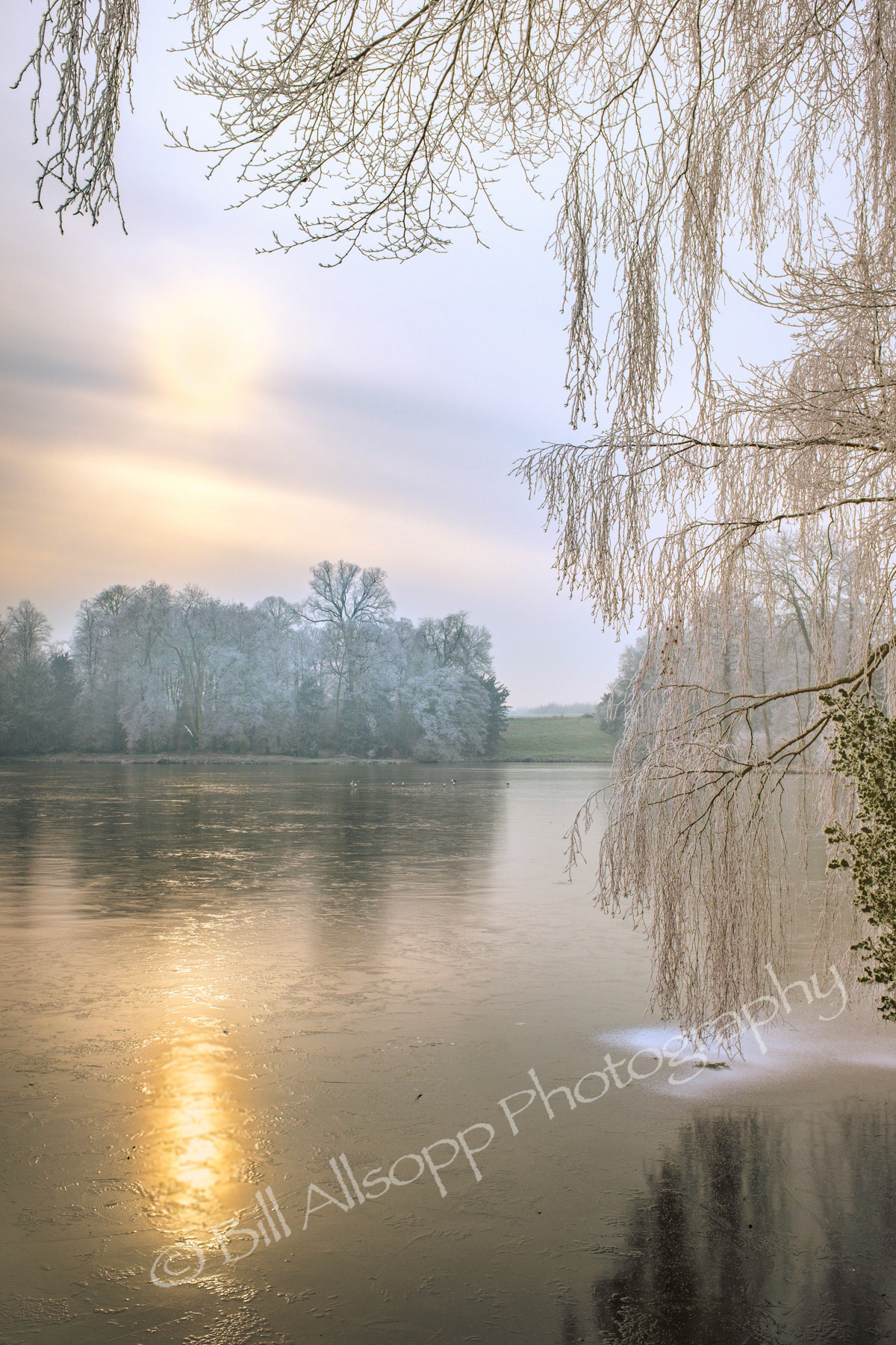 Melbourne pool in Derbyshire is frozen over after a heavy frost.