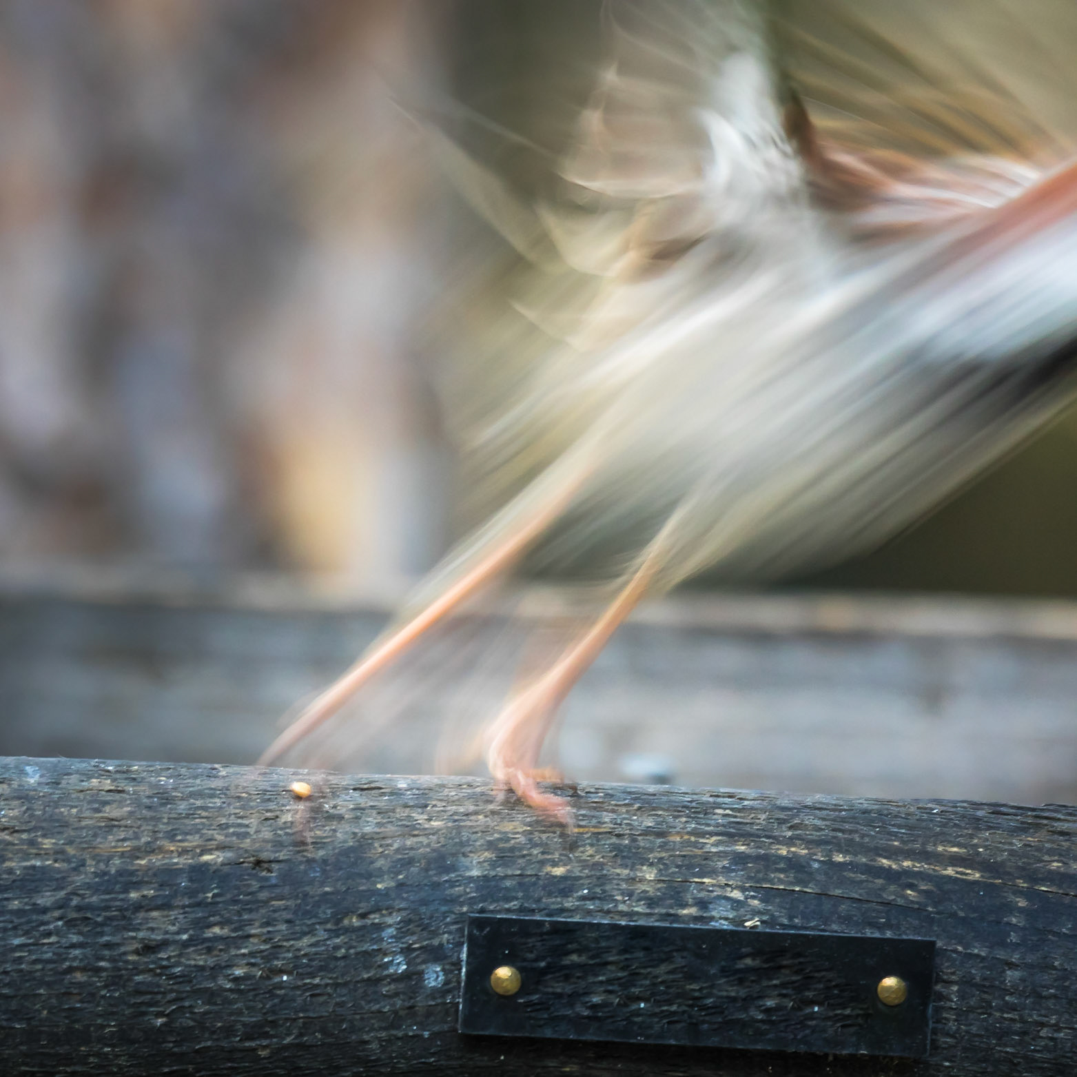 Flying off