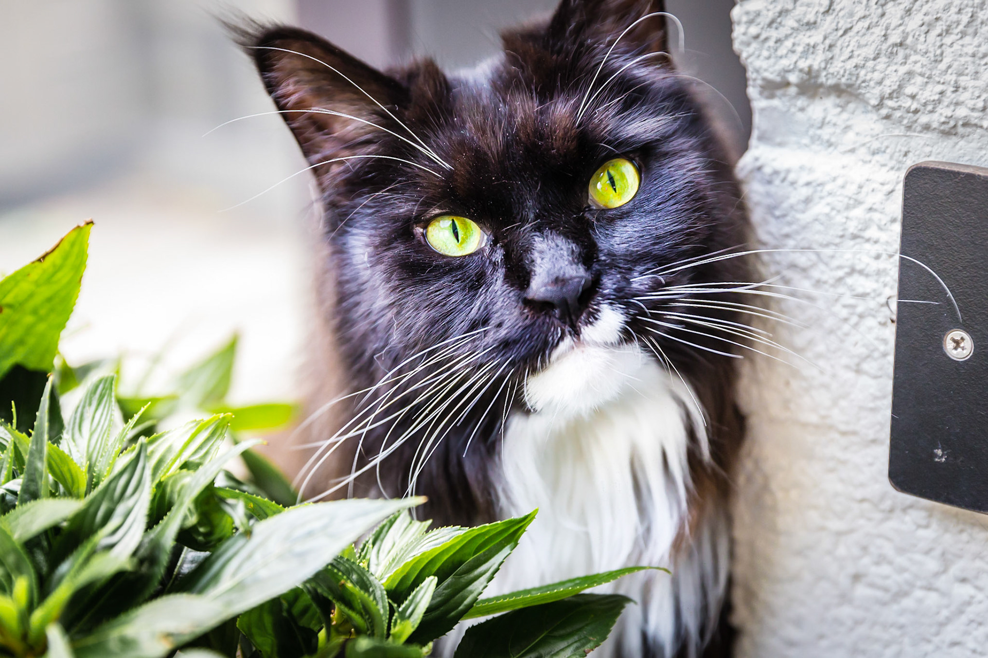 Peeking around the corner