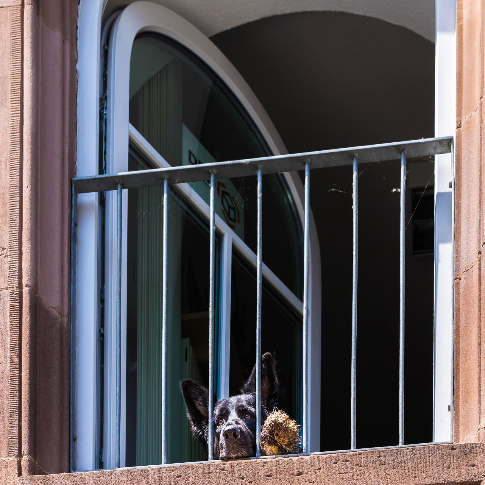 Staring in the distance