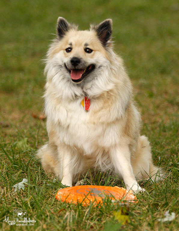 Nella