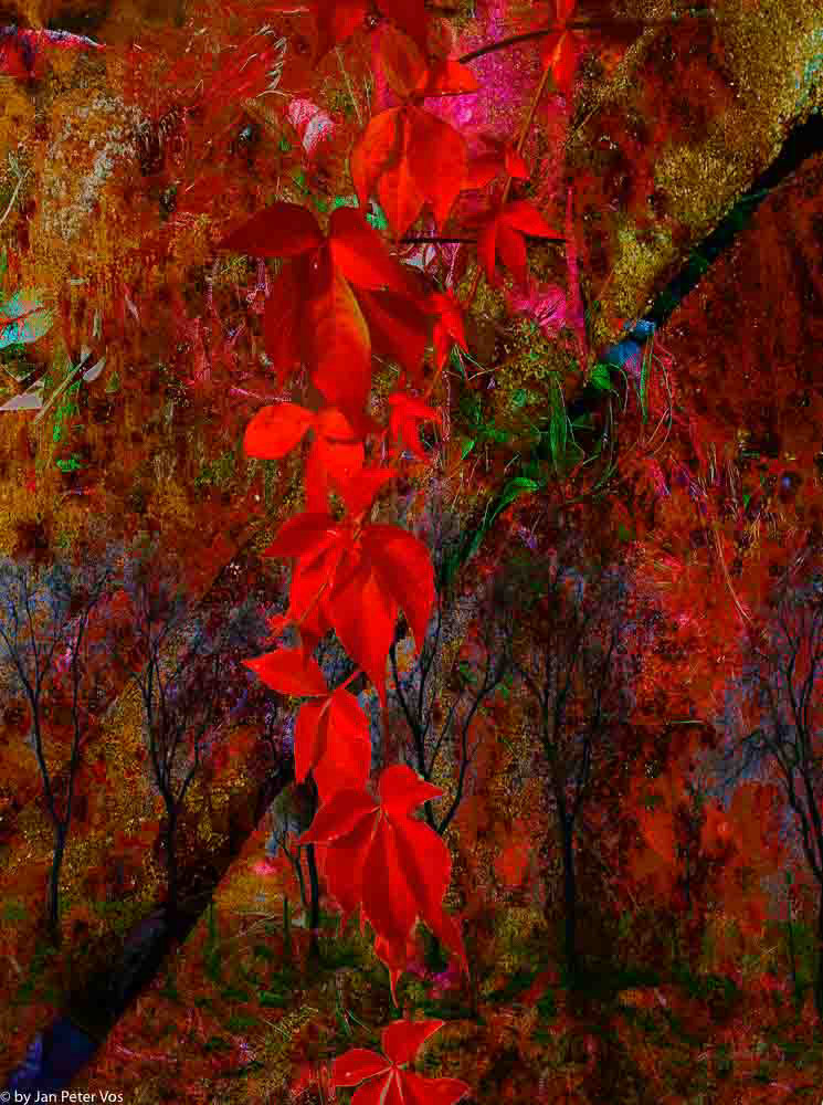 Delirium of Red