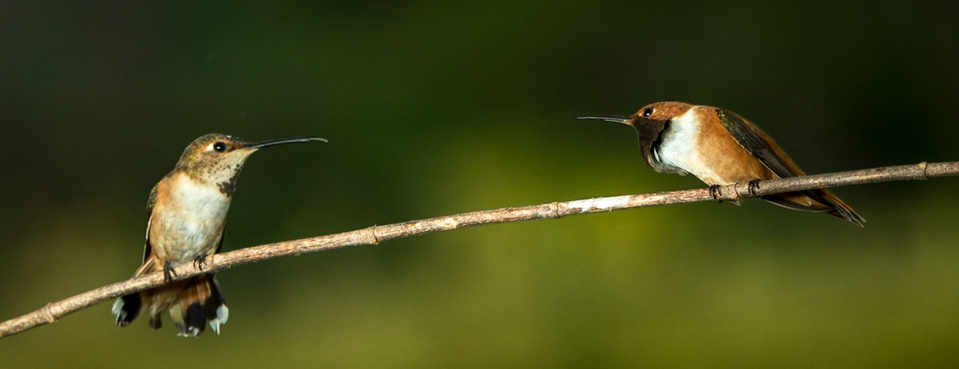 Beat it girl, the is my drinking establishment.