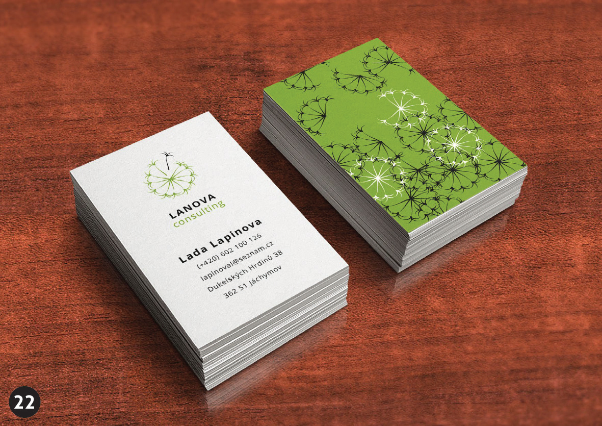 La Nova consulting