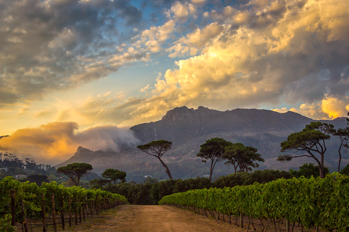 Constantia Nek