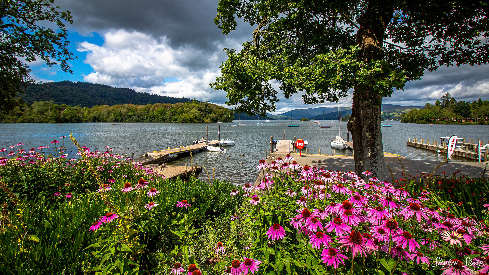 HillTop Photography Windermere August 2019