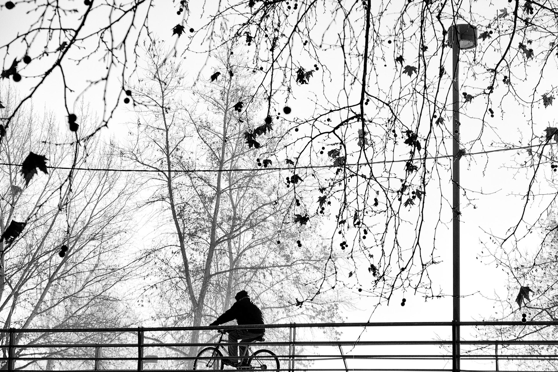 trikala litheos river street black & white