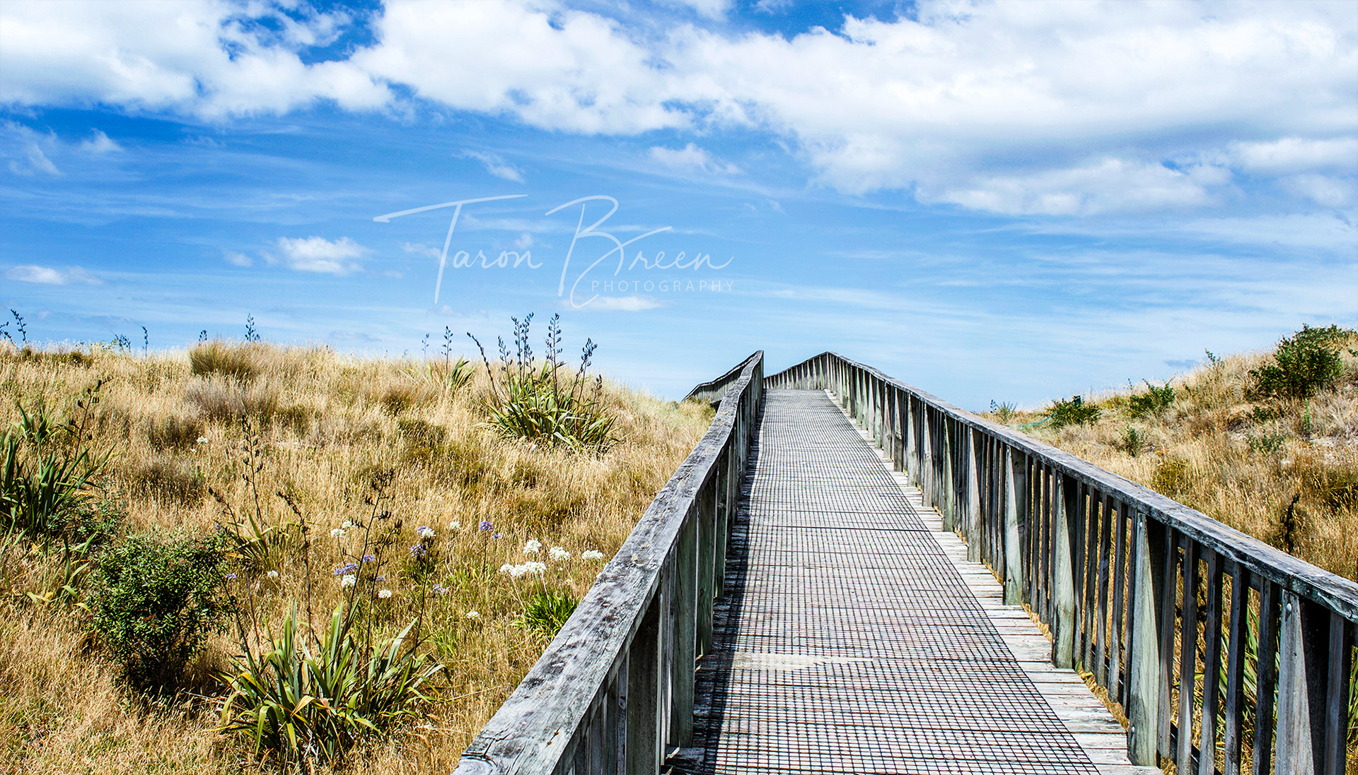 #5 | Ruakaka Beach | Northland | New Zealand