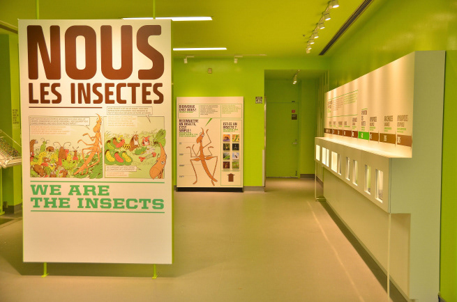 Insectarium de Montréal