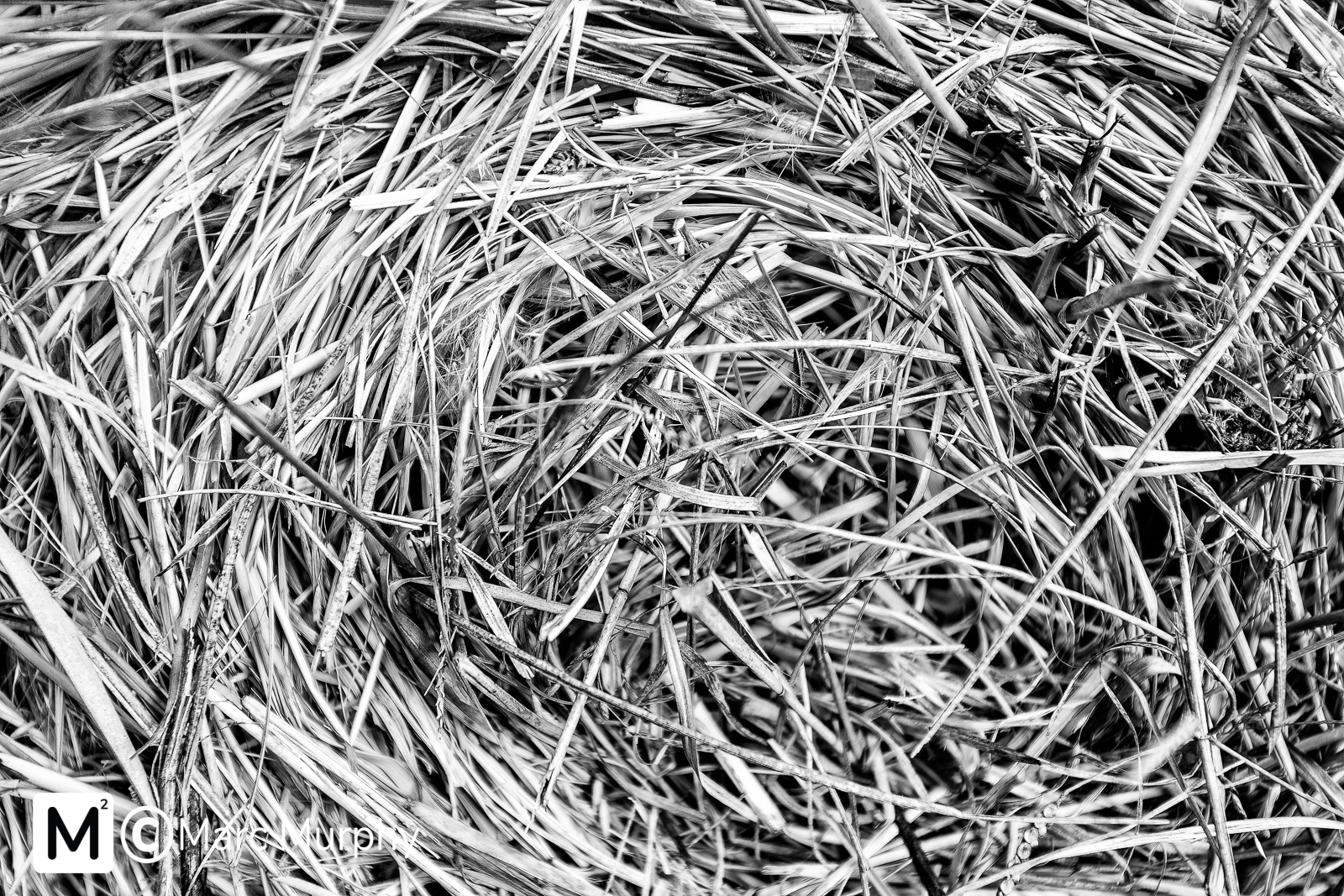 Black and White Up-Close Macro Inside of a Swirling Hay Bale