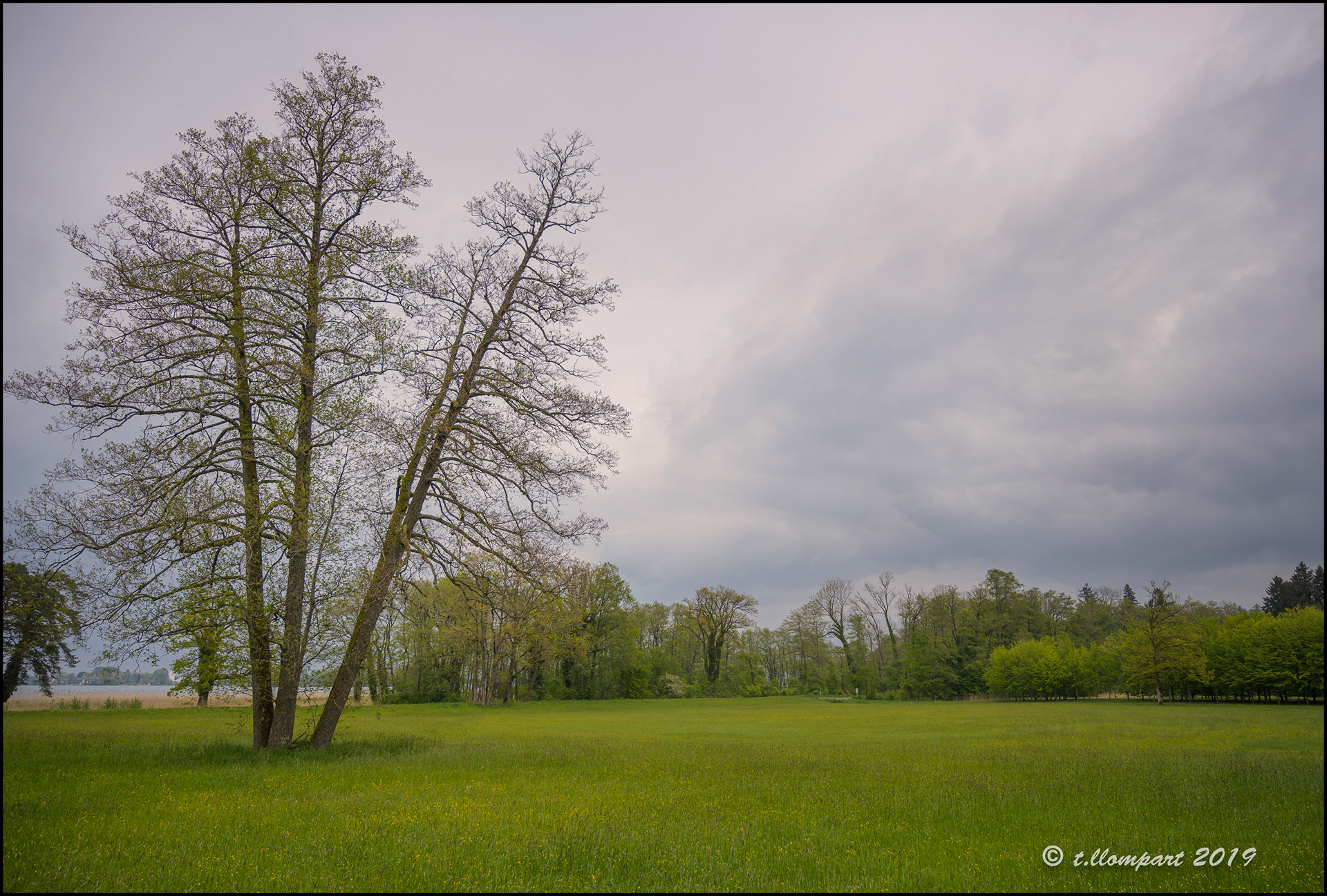 Herreninsel (Chiemsee)