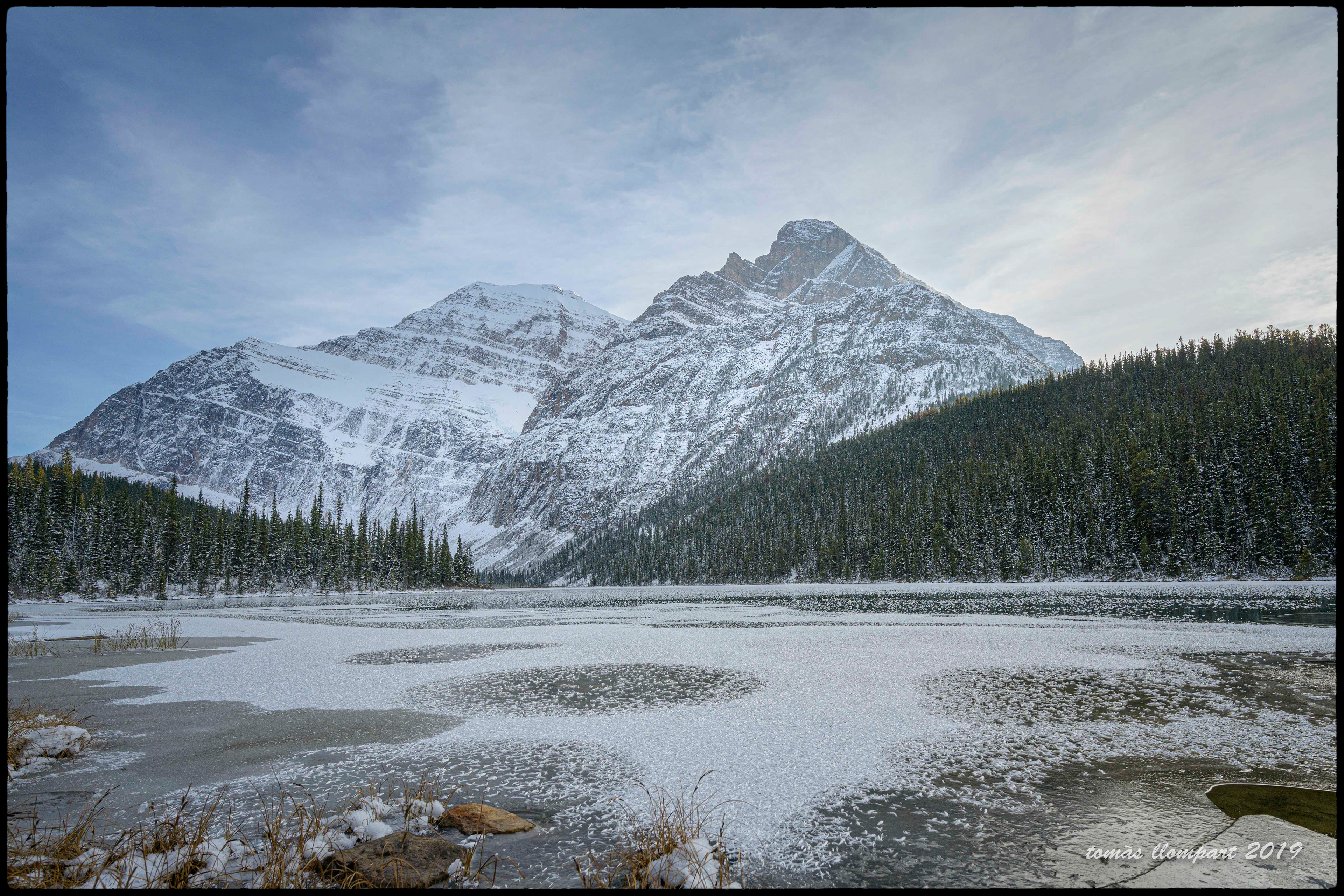 Cavell Lake (Jasper, Canada)