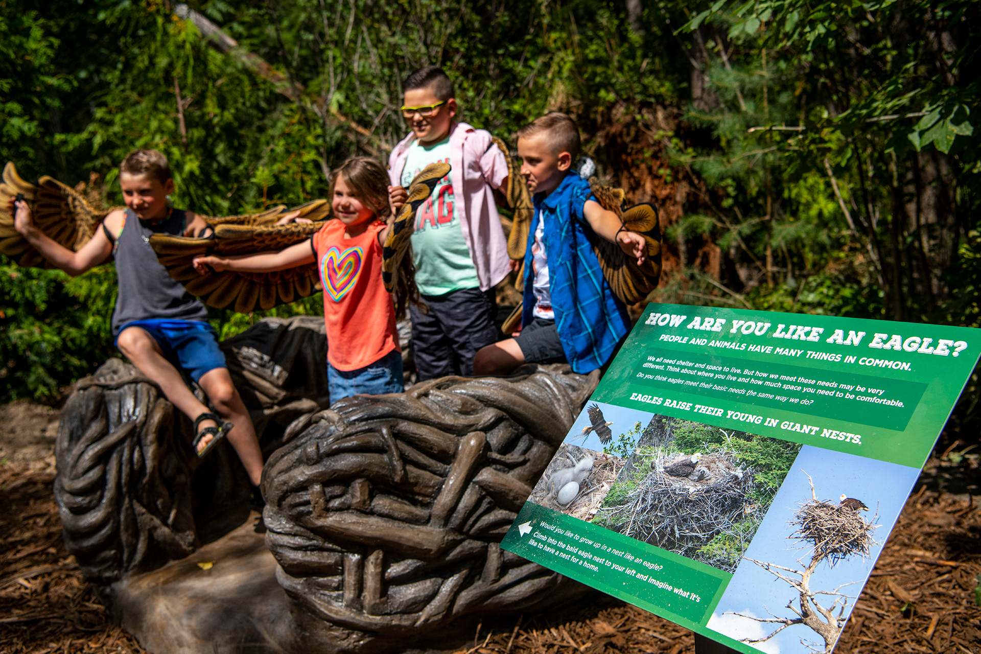 Photo by Katie Cotterill